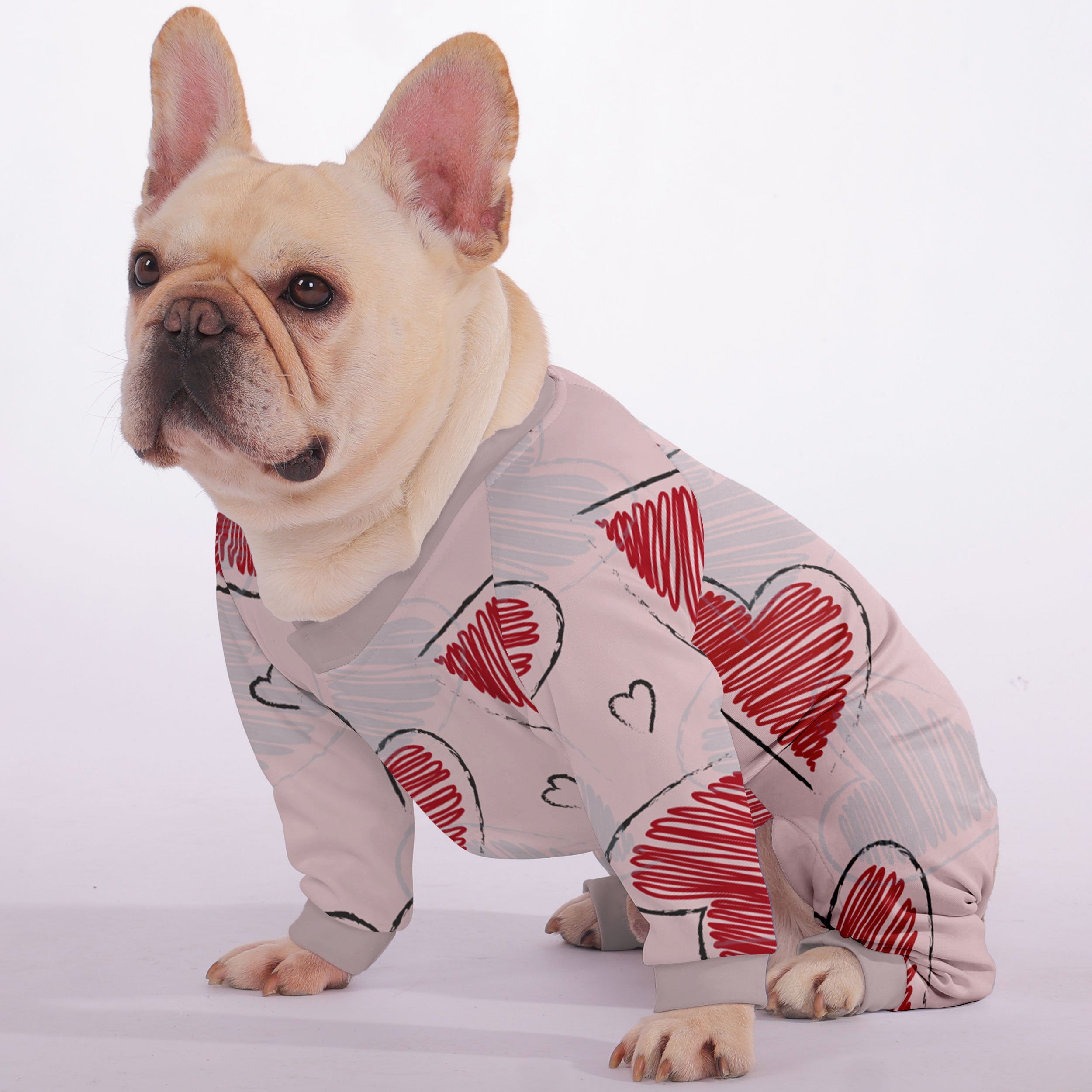 Remi French Bulldog Pet Product for Brachycephalic Dogs-fadou