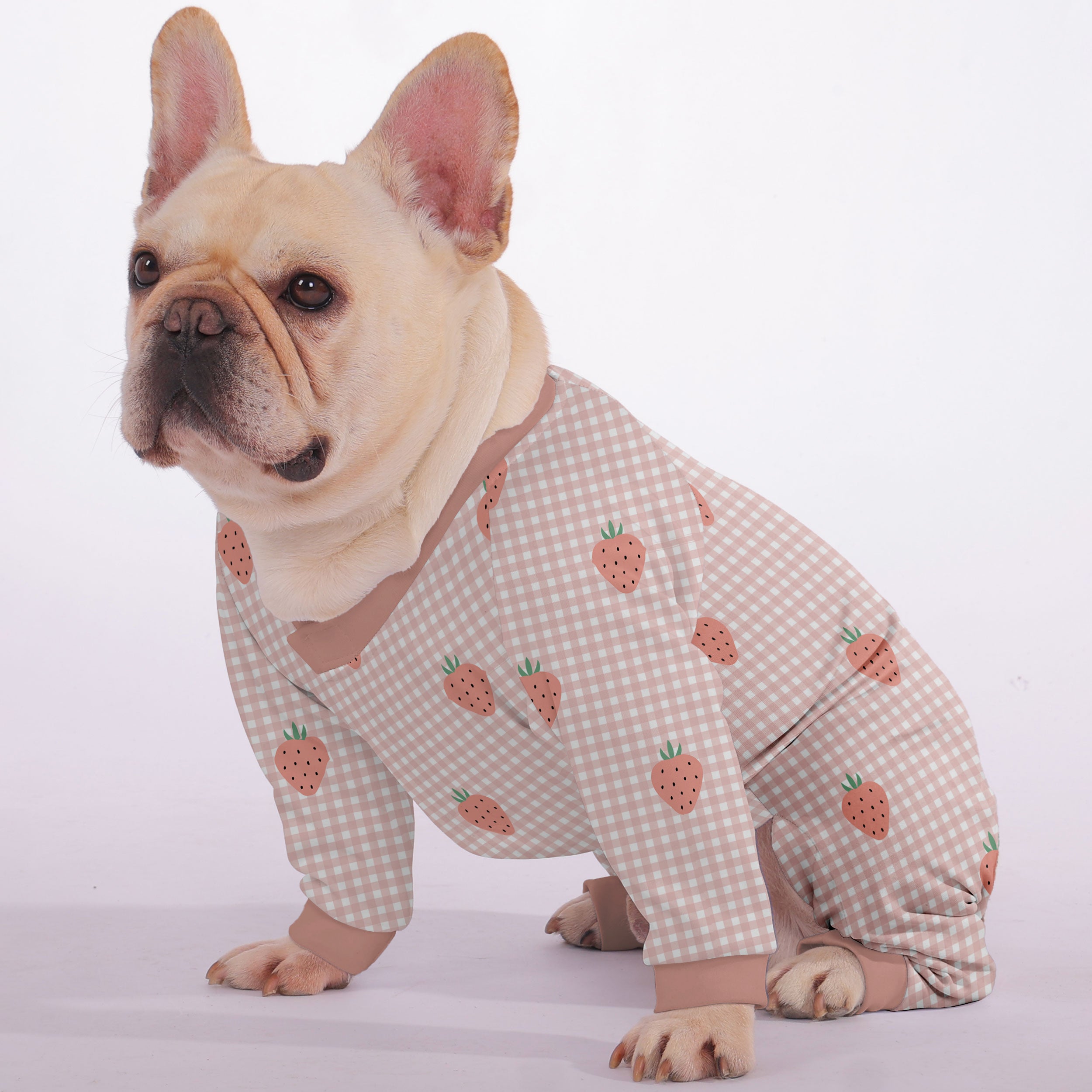 Nika French Bulldog Dog Accessory for Training Sessions-fadou