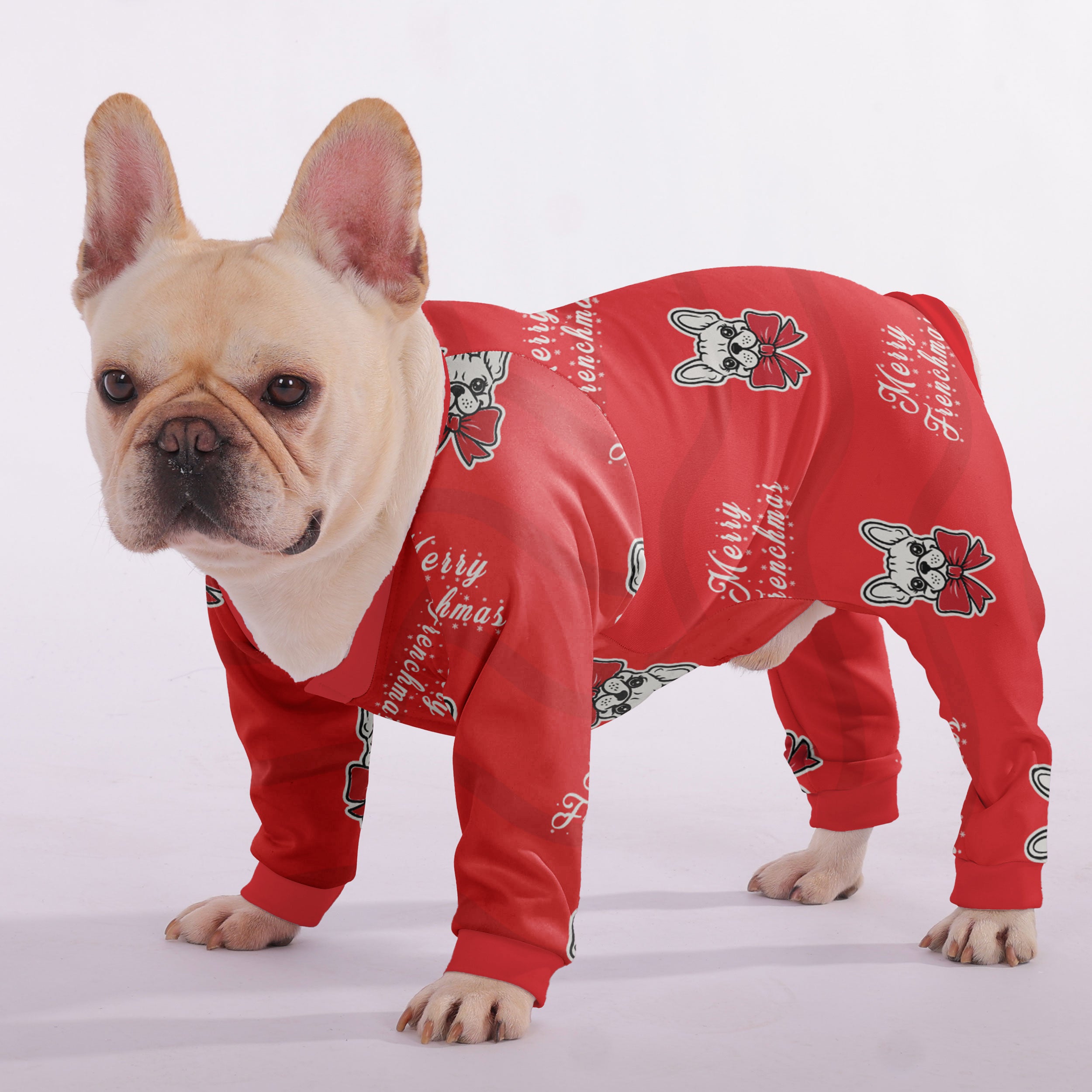 Dash French Bulldog Pet Product for Brachycephalic Dogs-fadou
