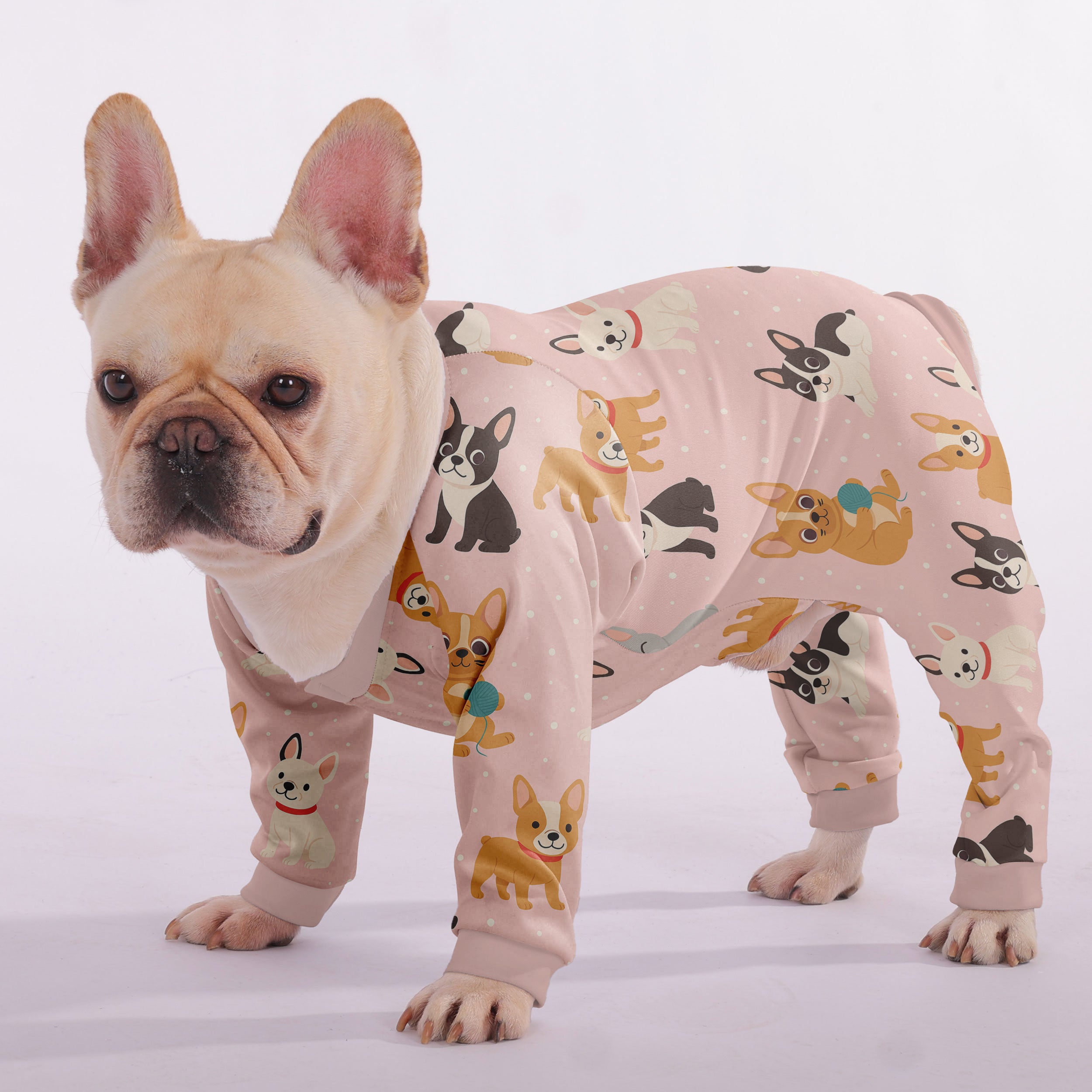Bowie French Bulldog Pet Product for Outdoor Adventures-fadou