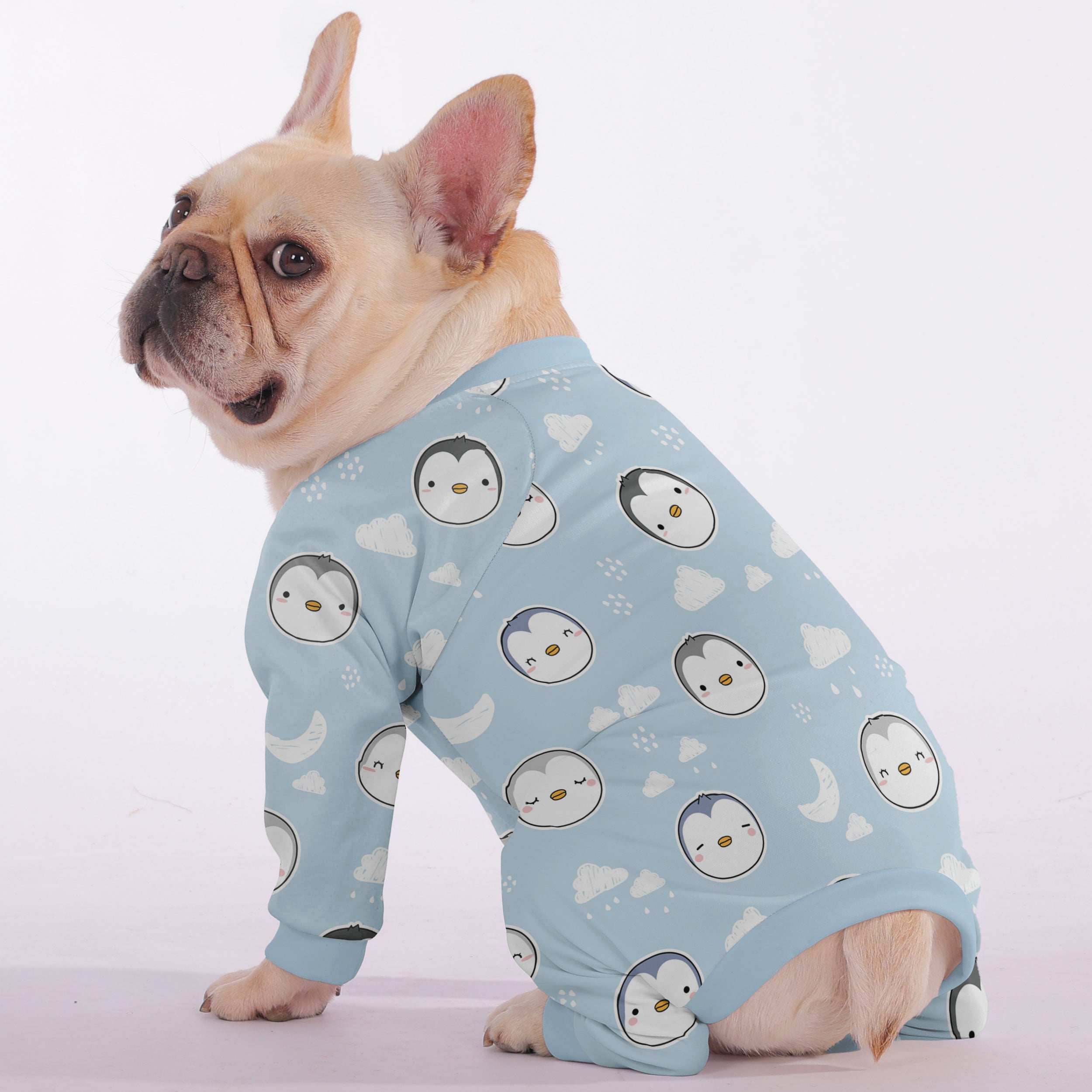 LOY French Bulldog Dog Accessory for Outdoor Adventures-fadou