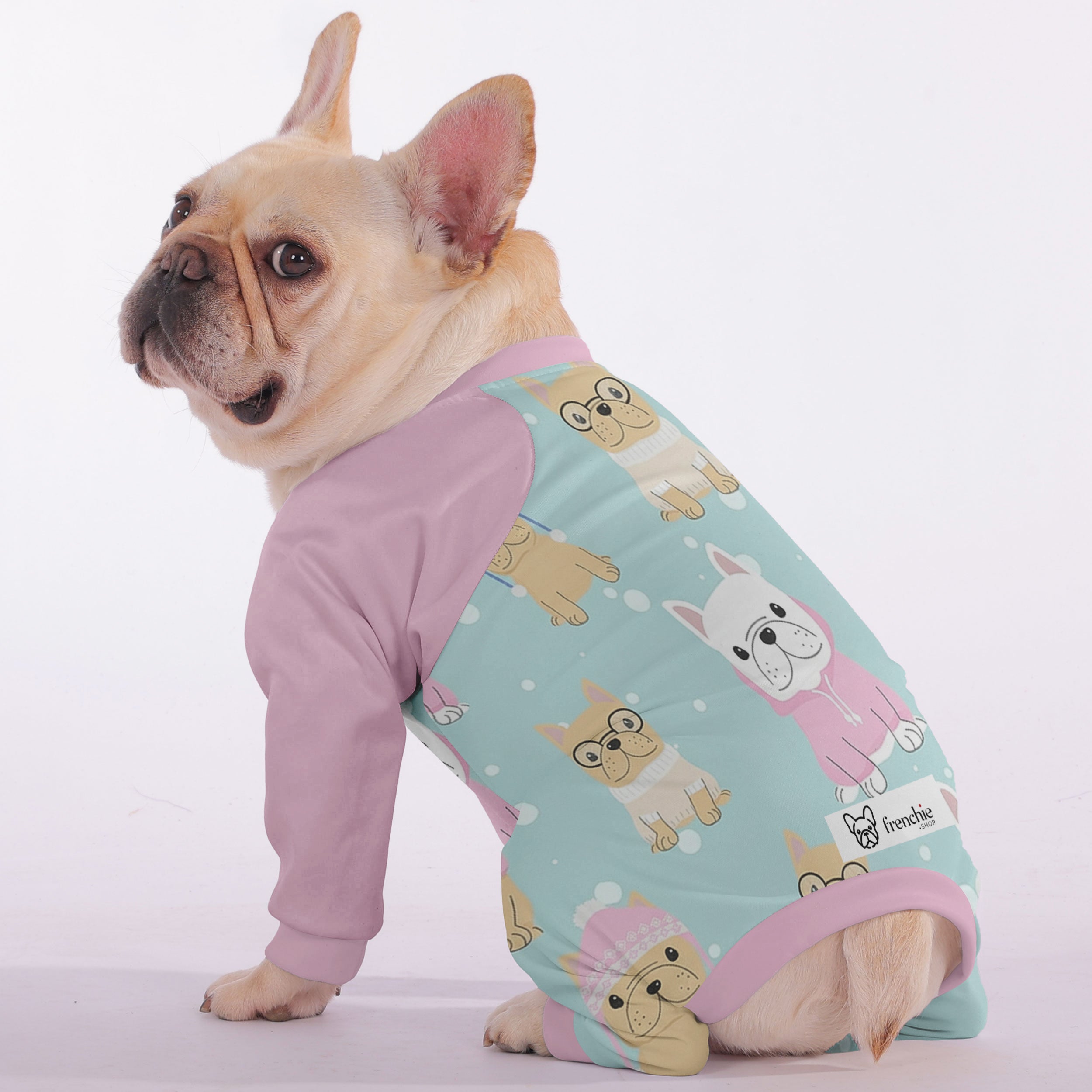 Harely French Bulldog Pet Product for Training Sessions-fadou
