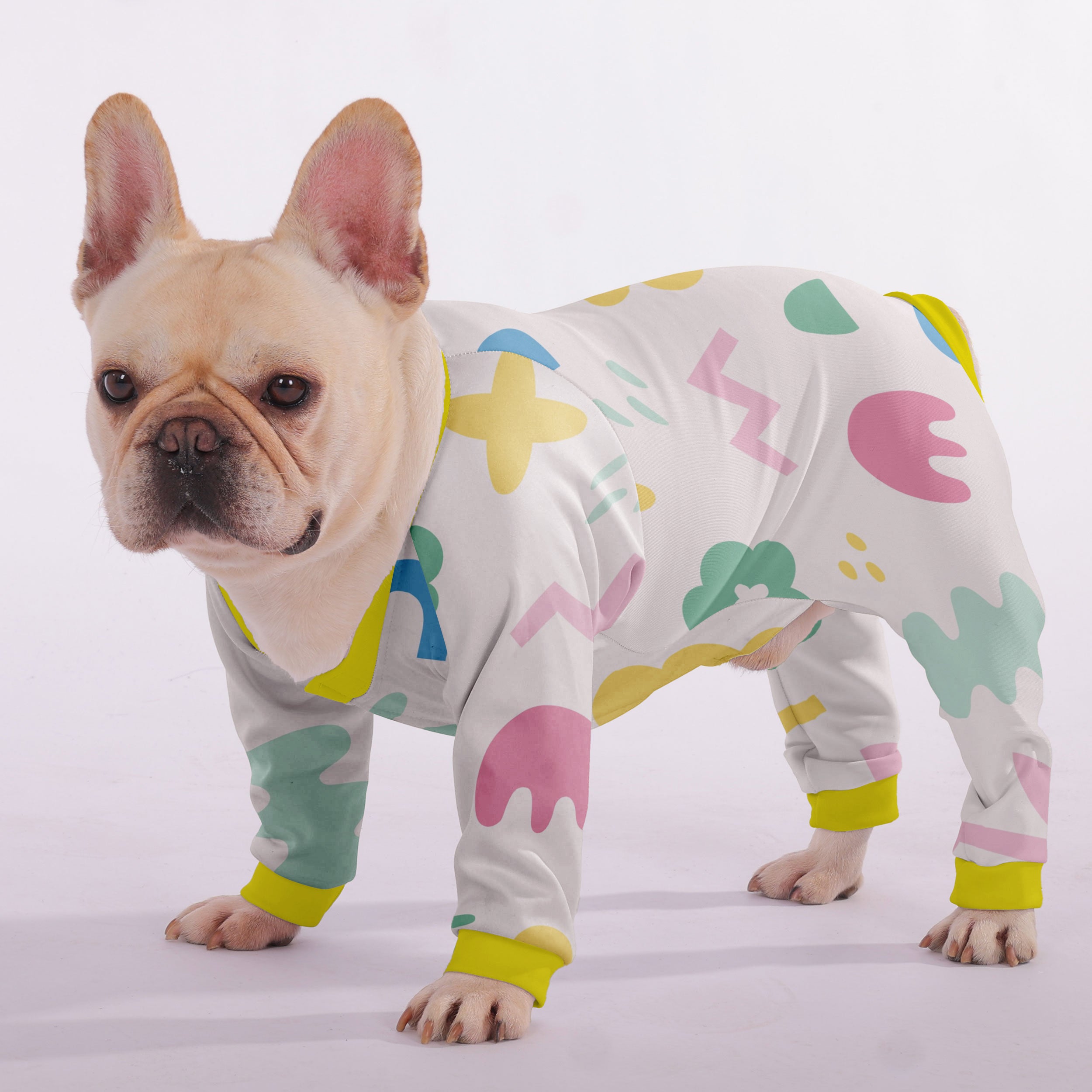 Riley French Bulldog Pet Product for Brachycephalic Dogs-fadou