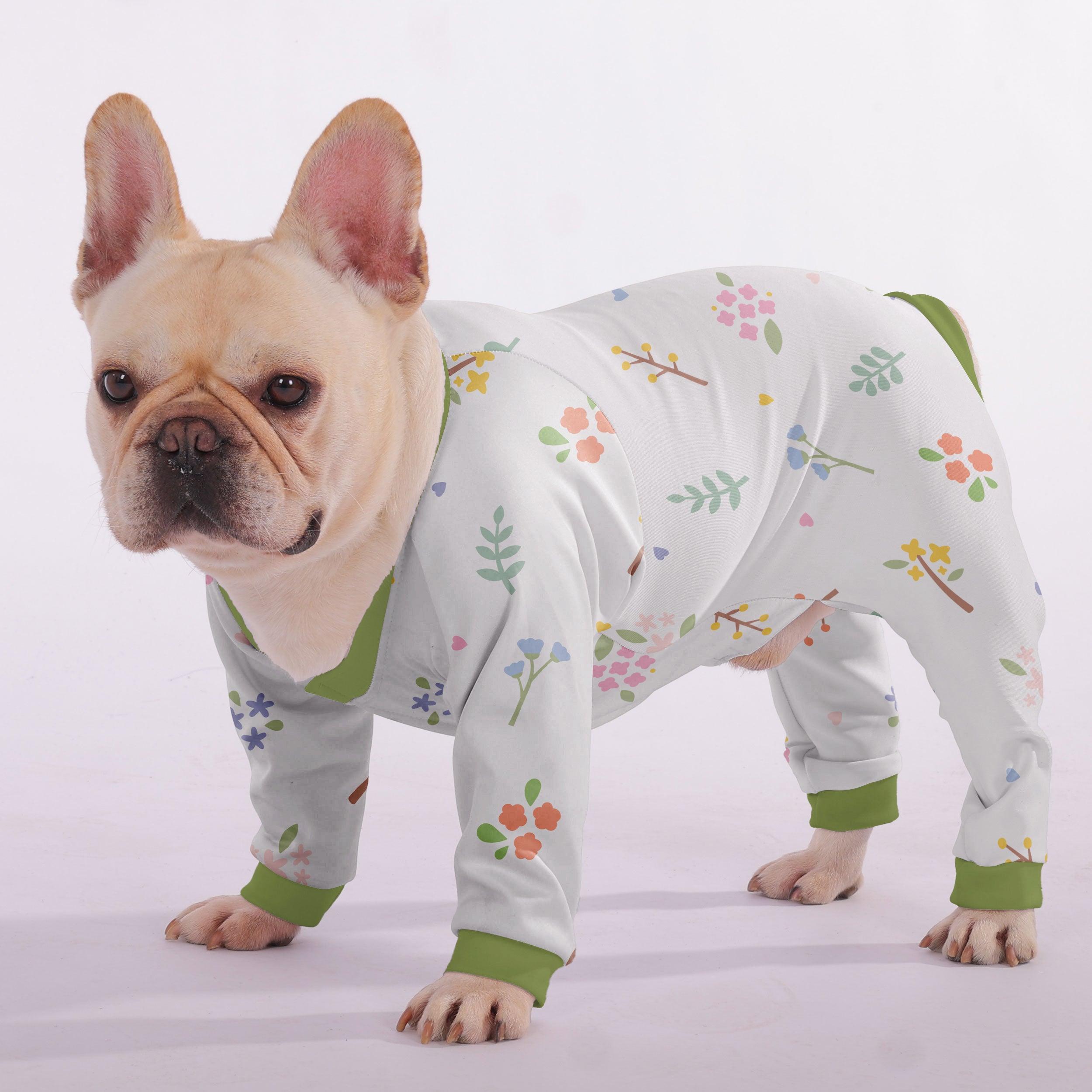 Aspen French Bulldog Dog Accessory for Short-Nosed Dogs-fadou