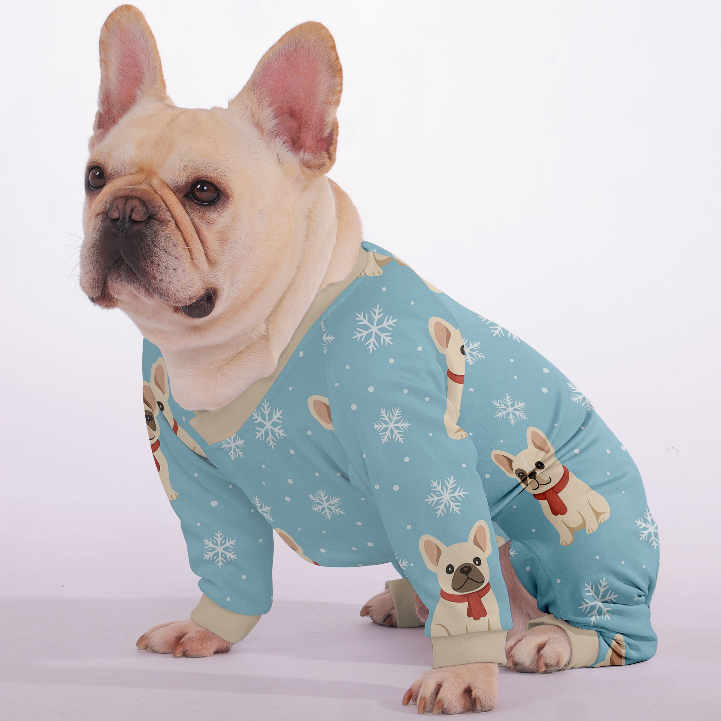 Scout French Bulldog Dog Accessory for Training Sessions-fadou