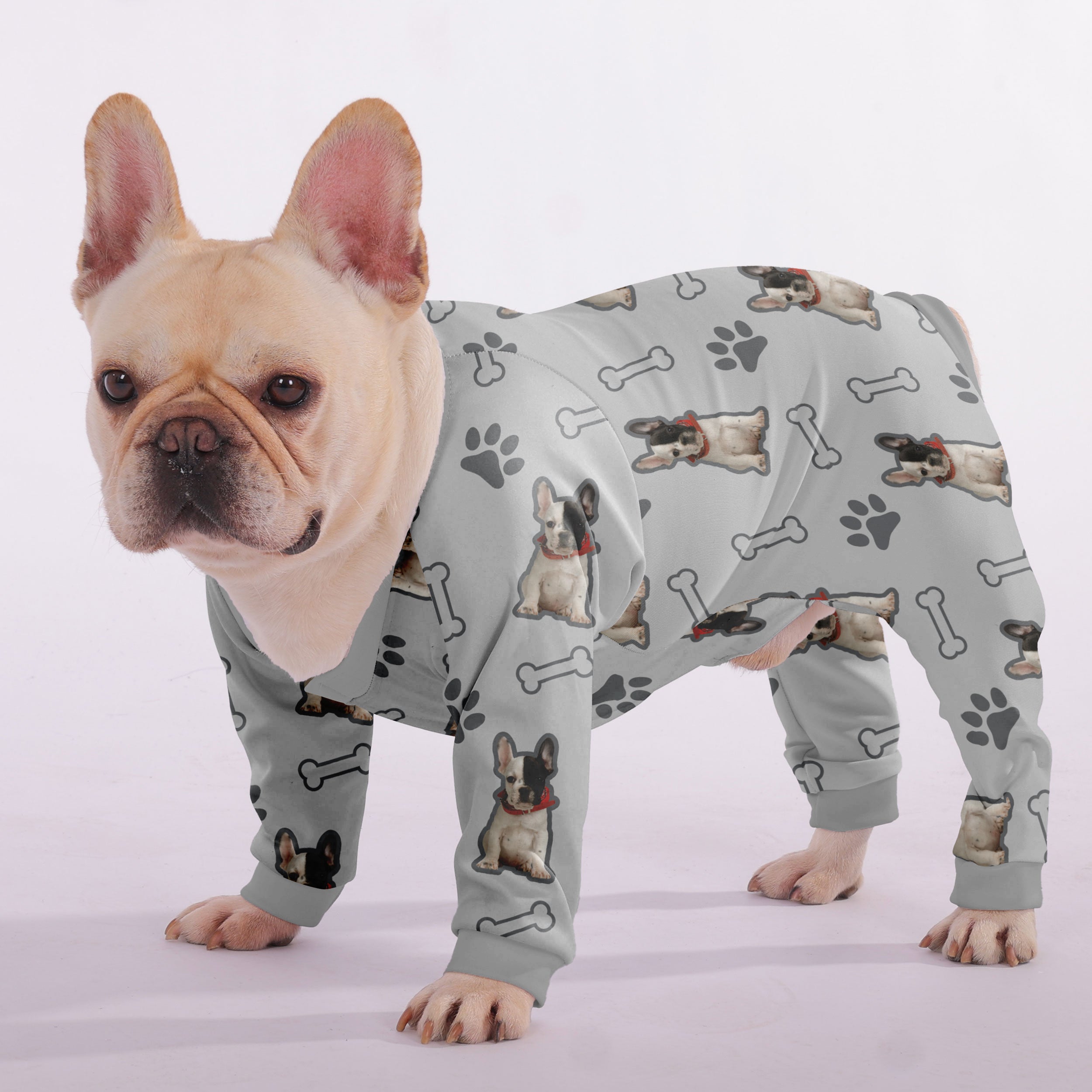 Enzo French Bulldog Dog Accessory for Training Sessions-fadou