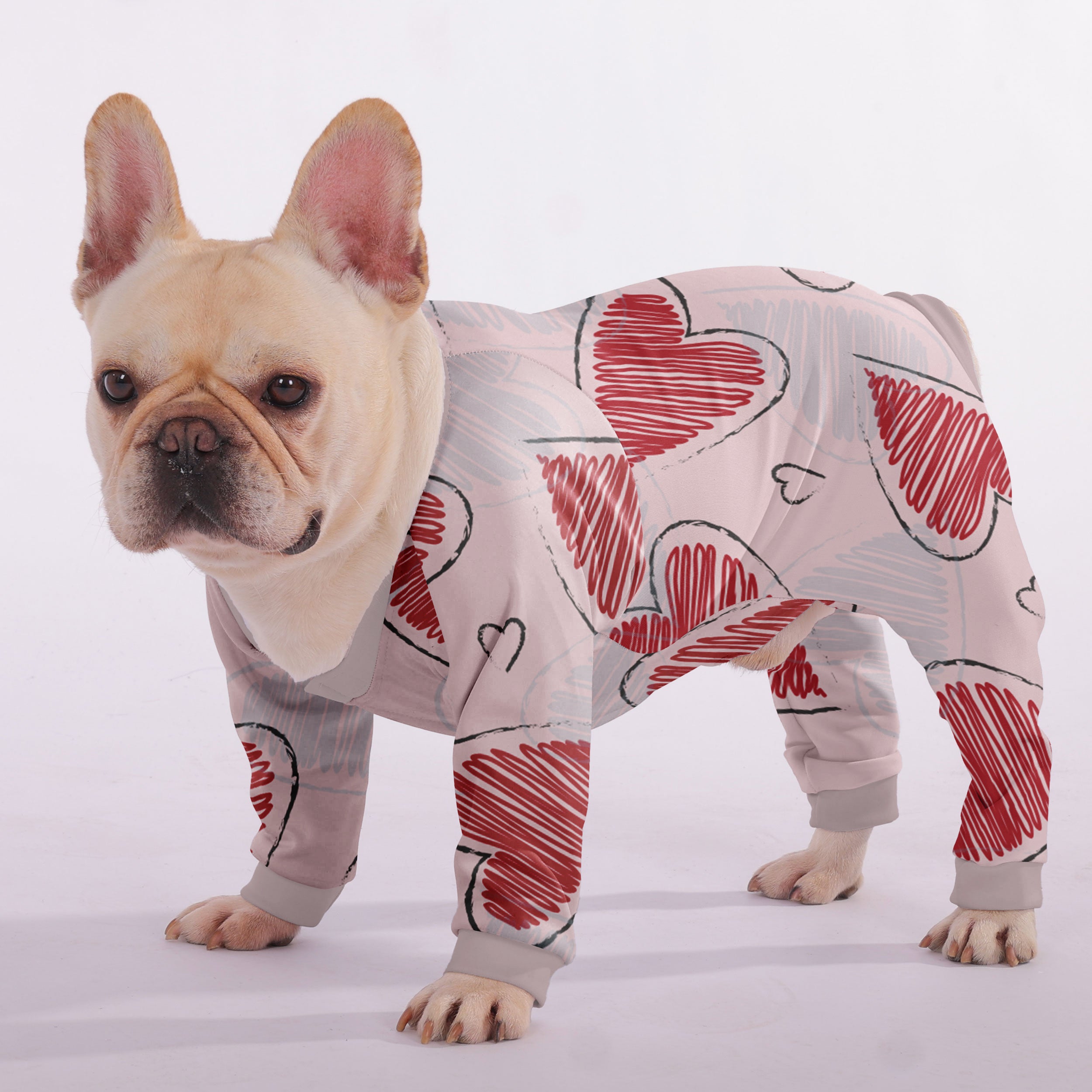 Remi French Bulldog Pet Product for Brachycephalic Dogs-fadou