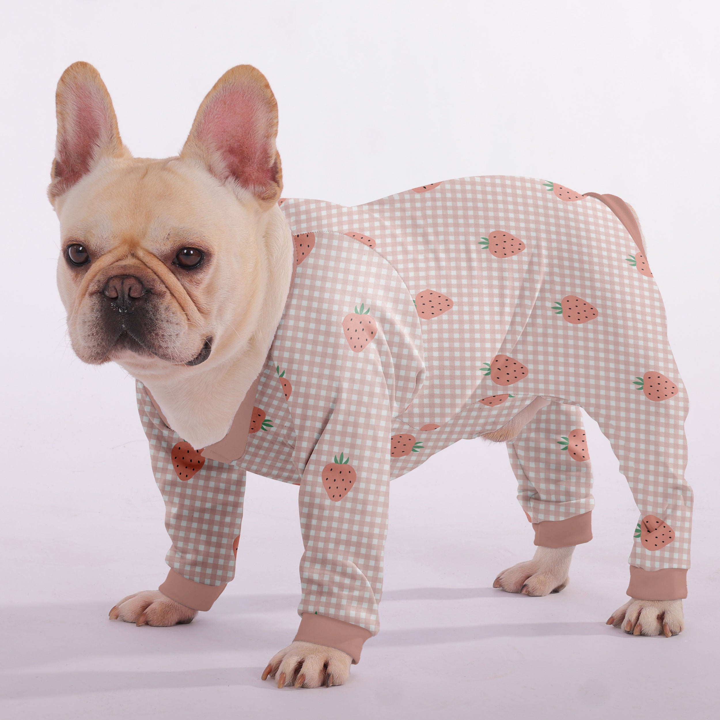 Nika French Bulldog Dog Accessory for Training Sessions-fadou