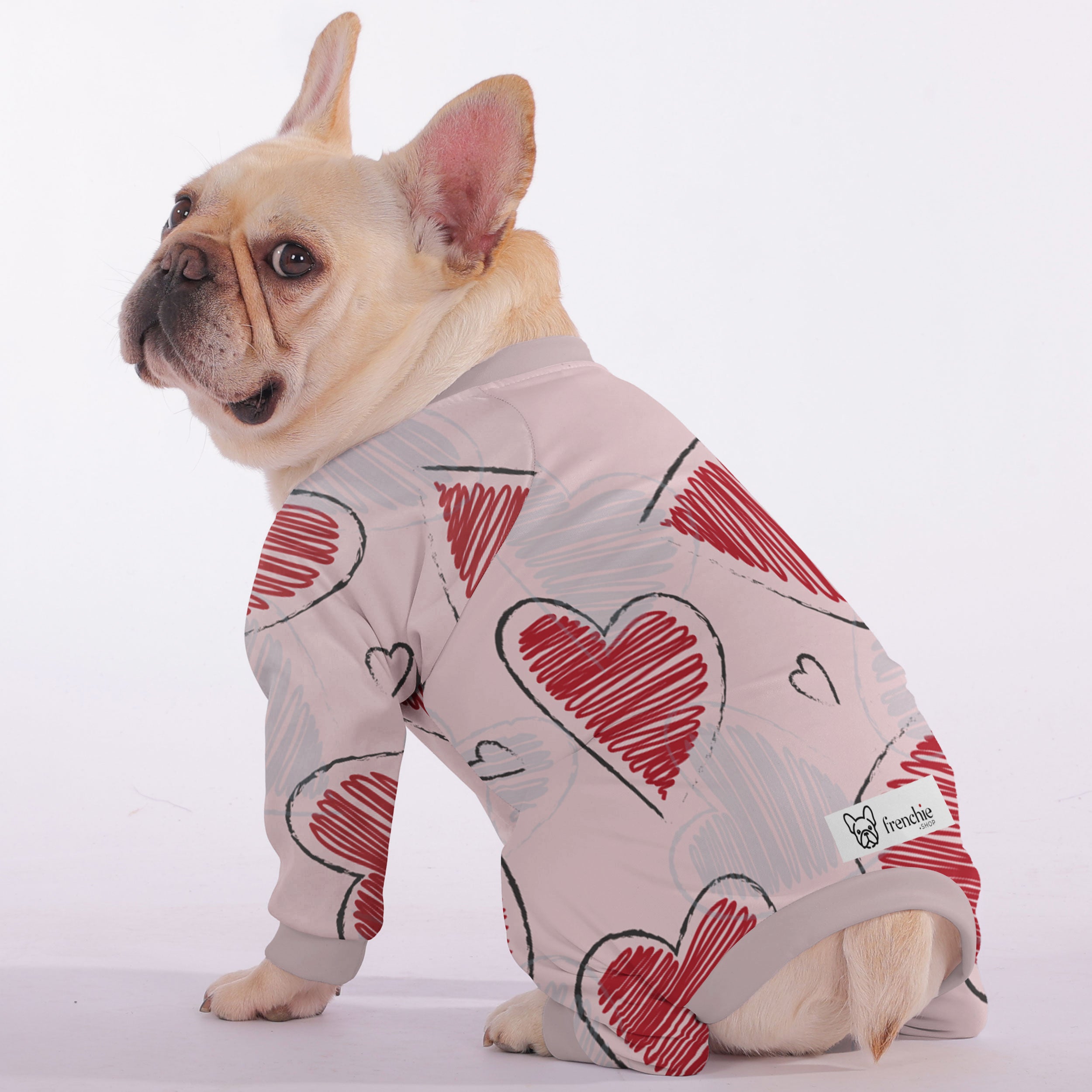 Remi French Bulldog Pet Product for Brachycephalic Dogs-fadou