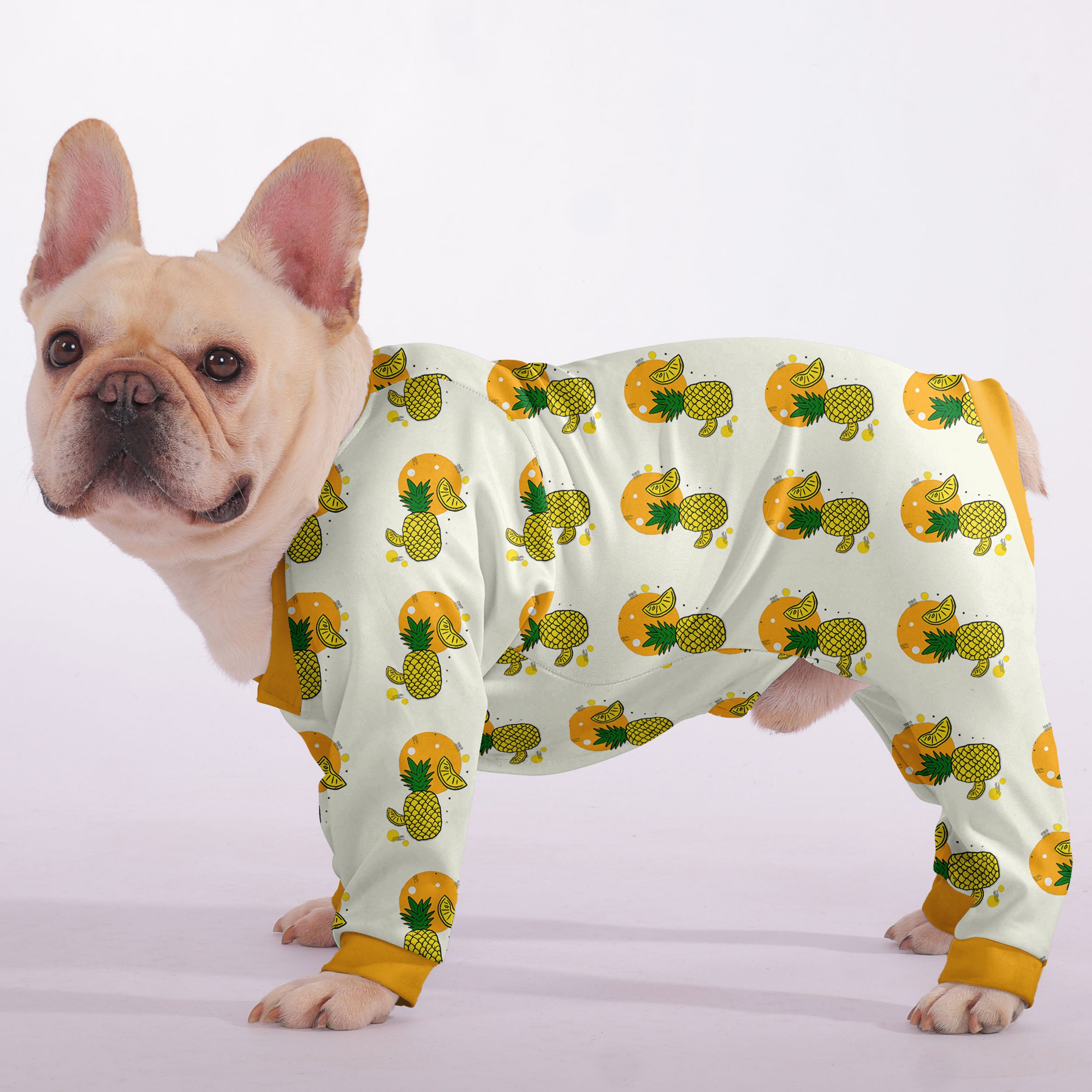 Daisy French Bulldog Pet Product for Brachycephalic Dogs-fadou