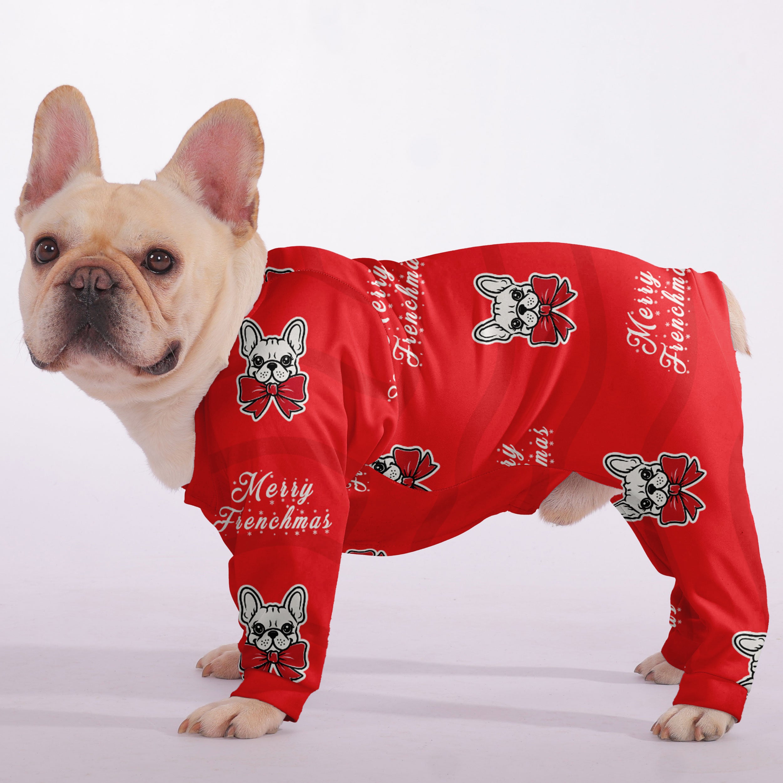 Dash French Bulldog Pet Product for Brachycephalic Dogs-fadou