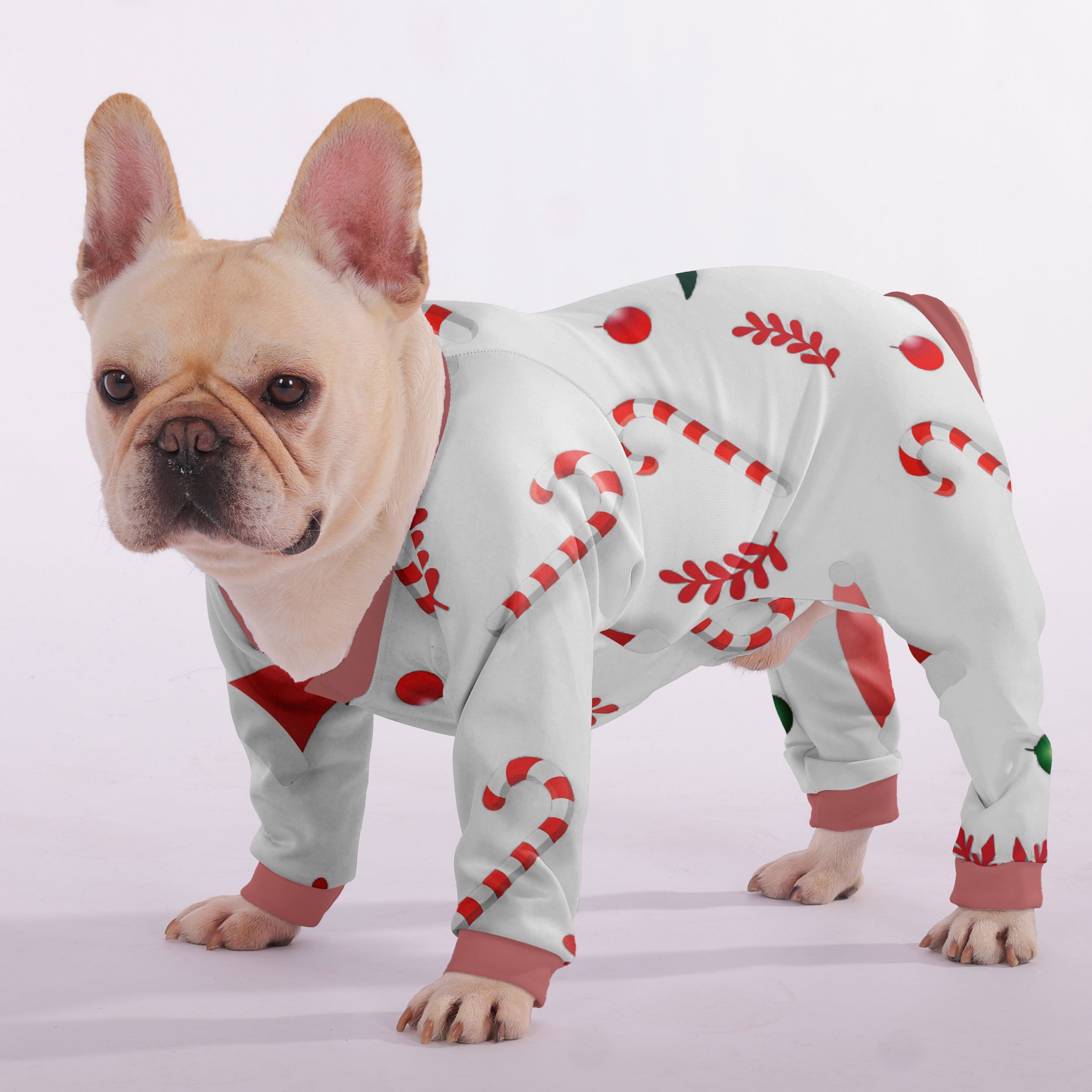 Zen French Bulldog Dog Accessory for Brachycephalic Dogs-fadou