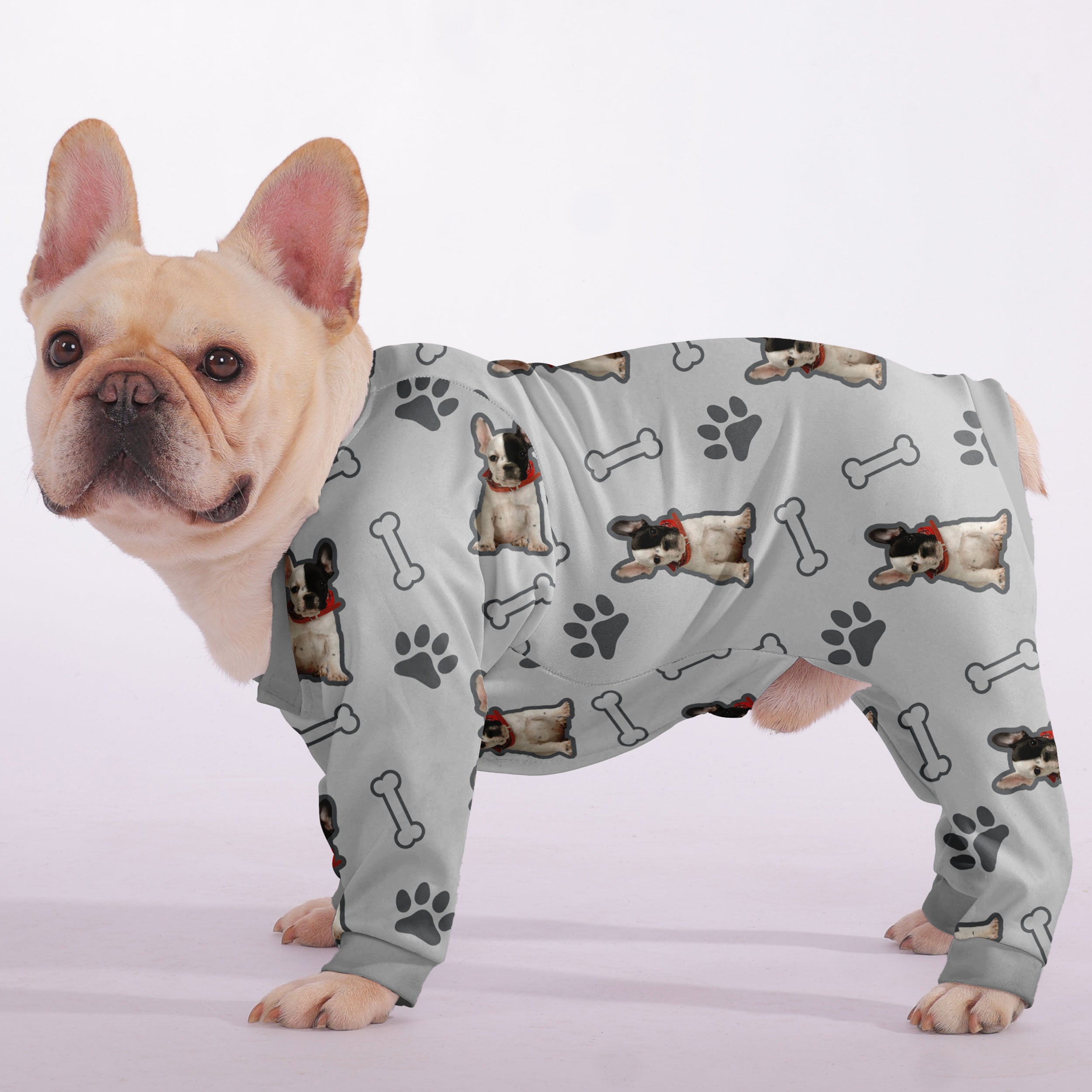 Enzo French Bulldog Dog Accessory for Training Sessions-fadou