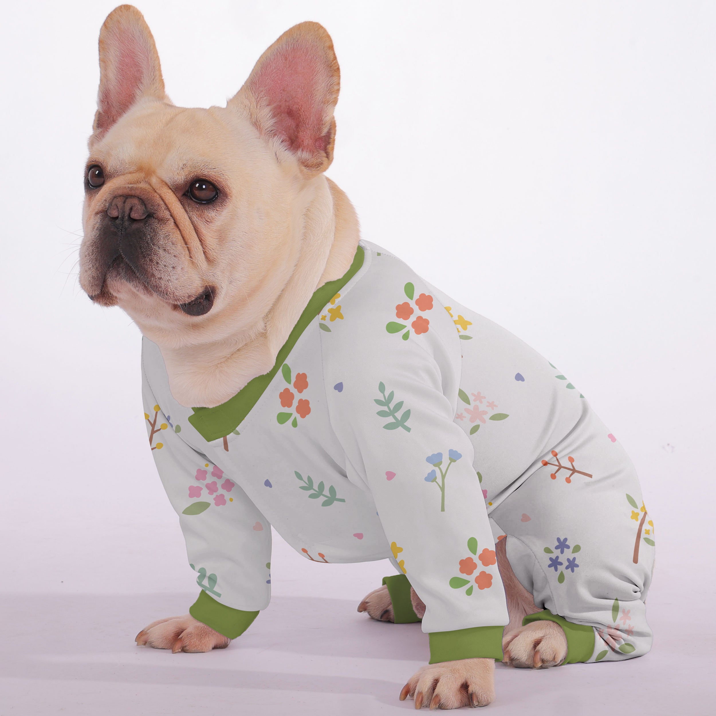 Aspen French Bulldog Dog Accessory for Short-Nosed Dogs-fadou