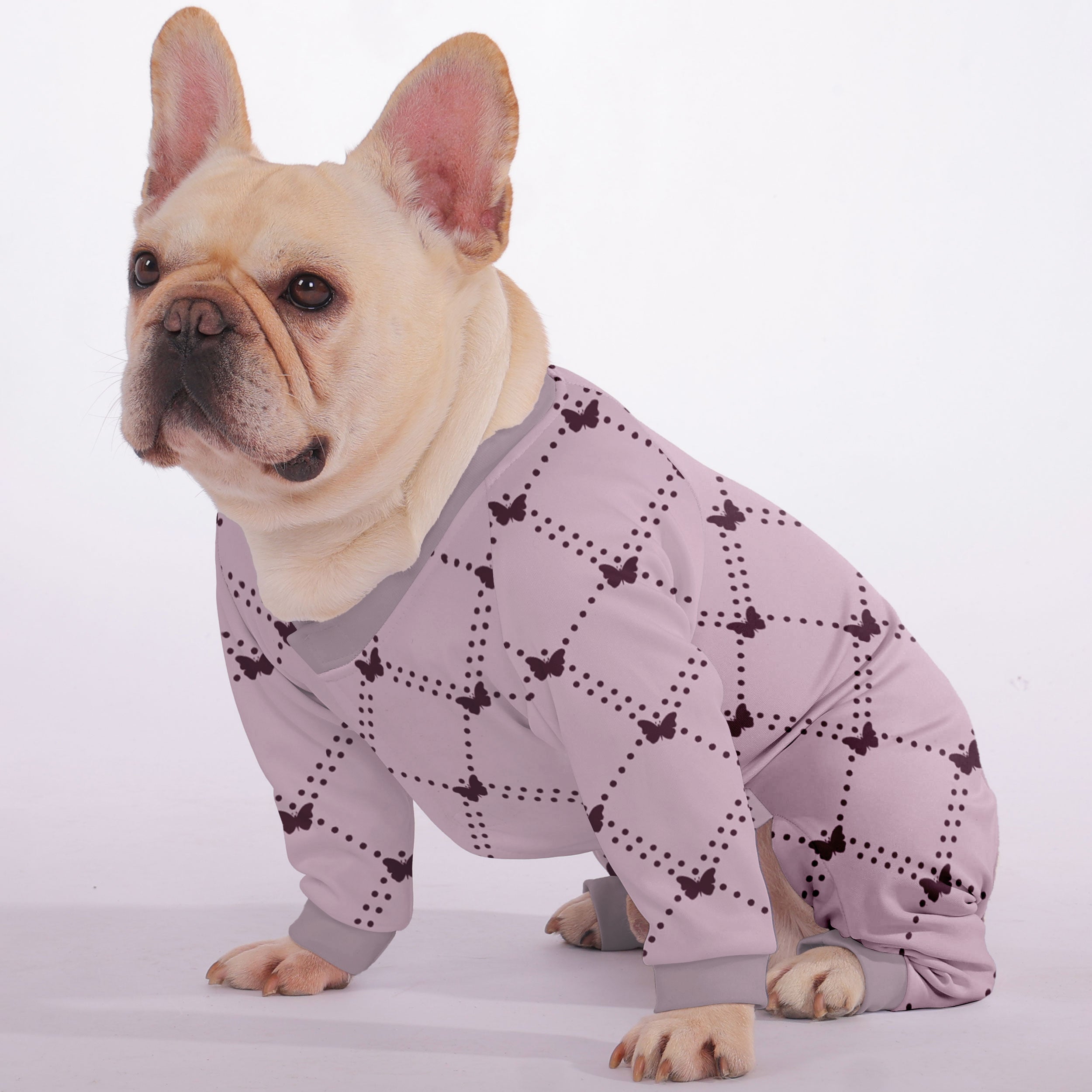 Quinn French Bulldog Dog Accessory for Flat-Face Breeds-fadou
