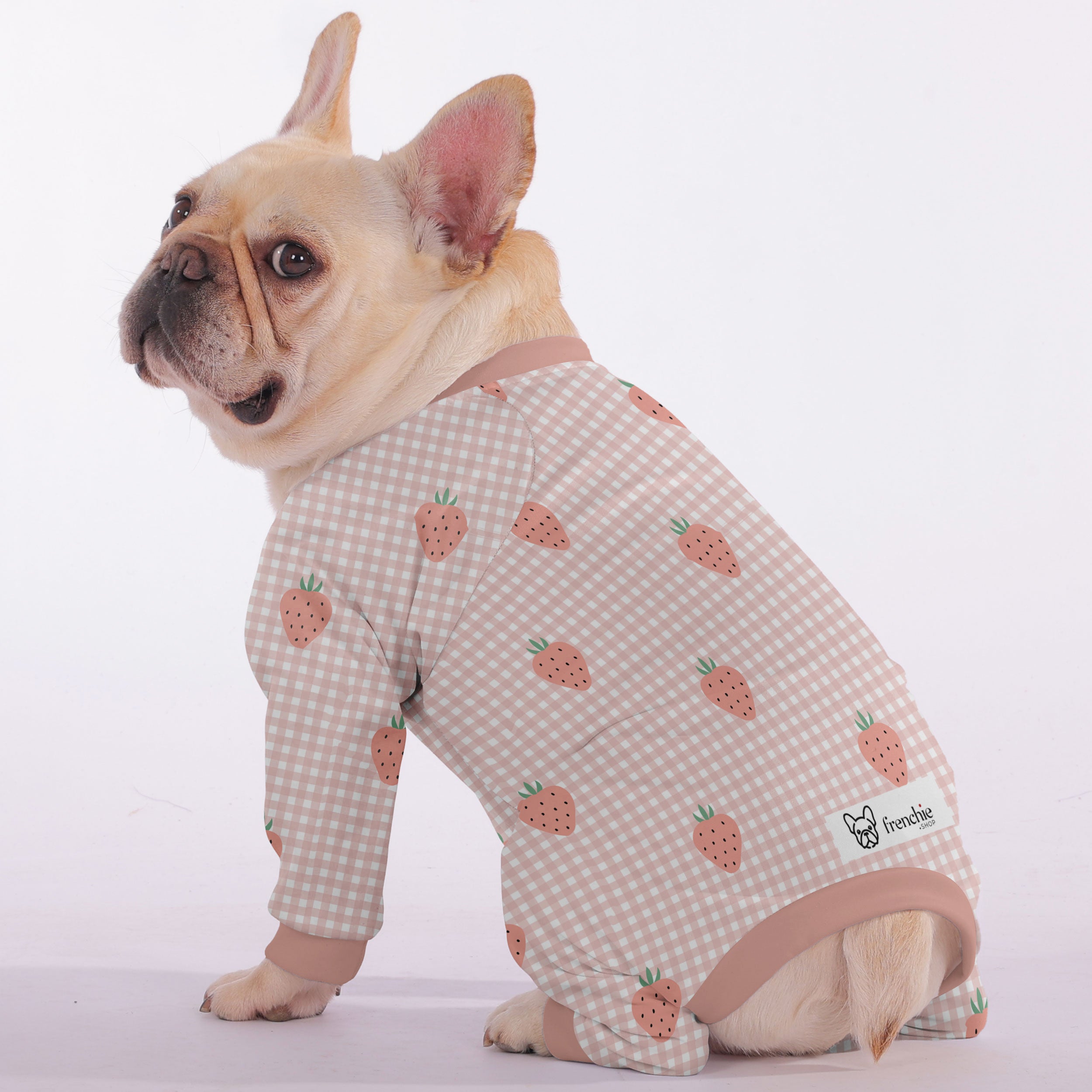 Nika French Bulldog Dog Accessory for Training Sessions-fadou
