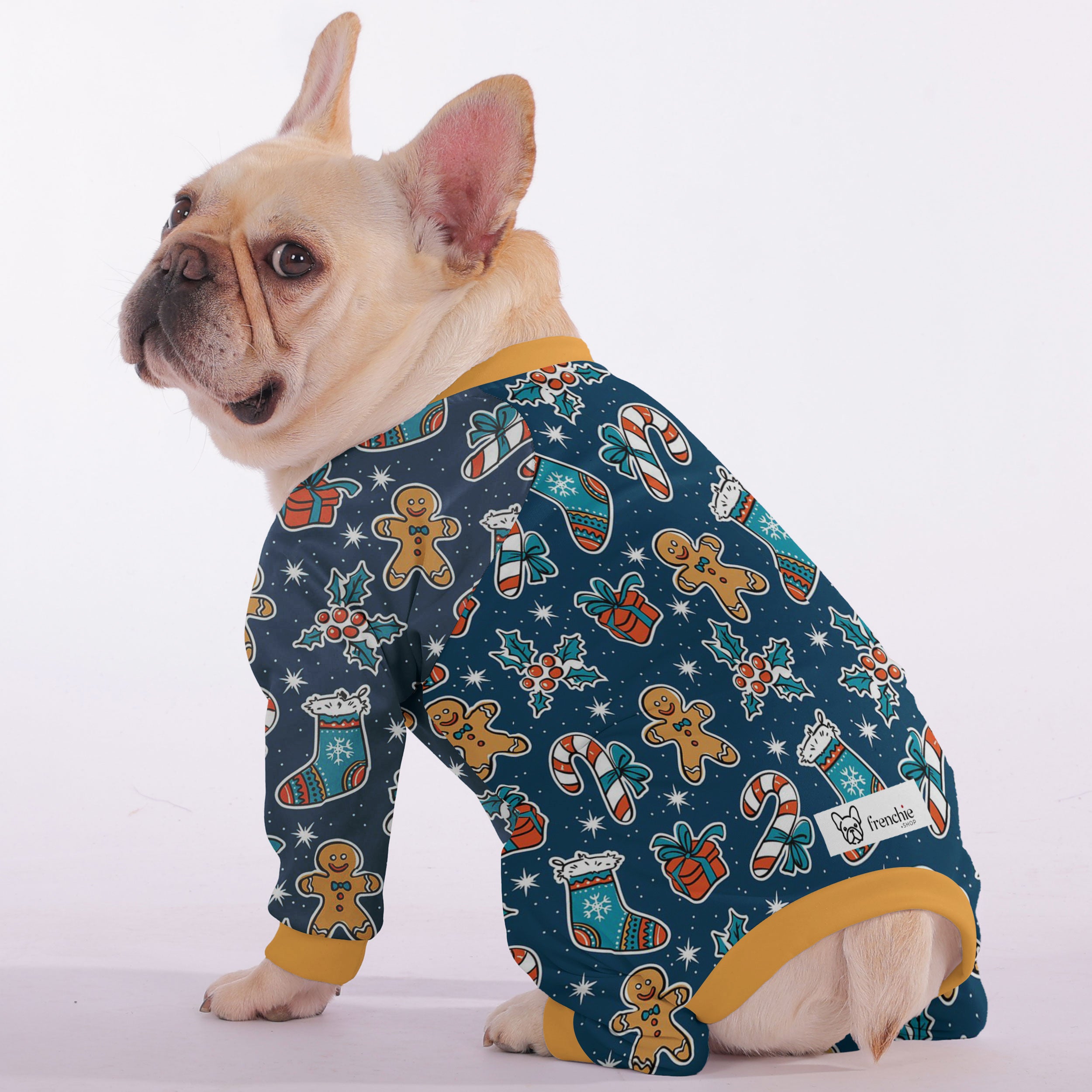 French Bulldog Christmas Dog Accessory for Training Sessions-fadou