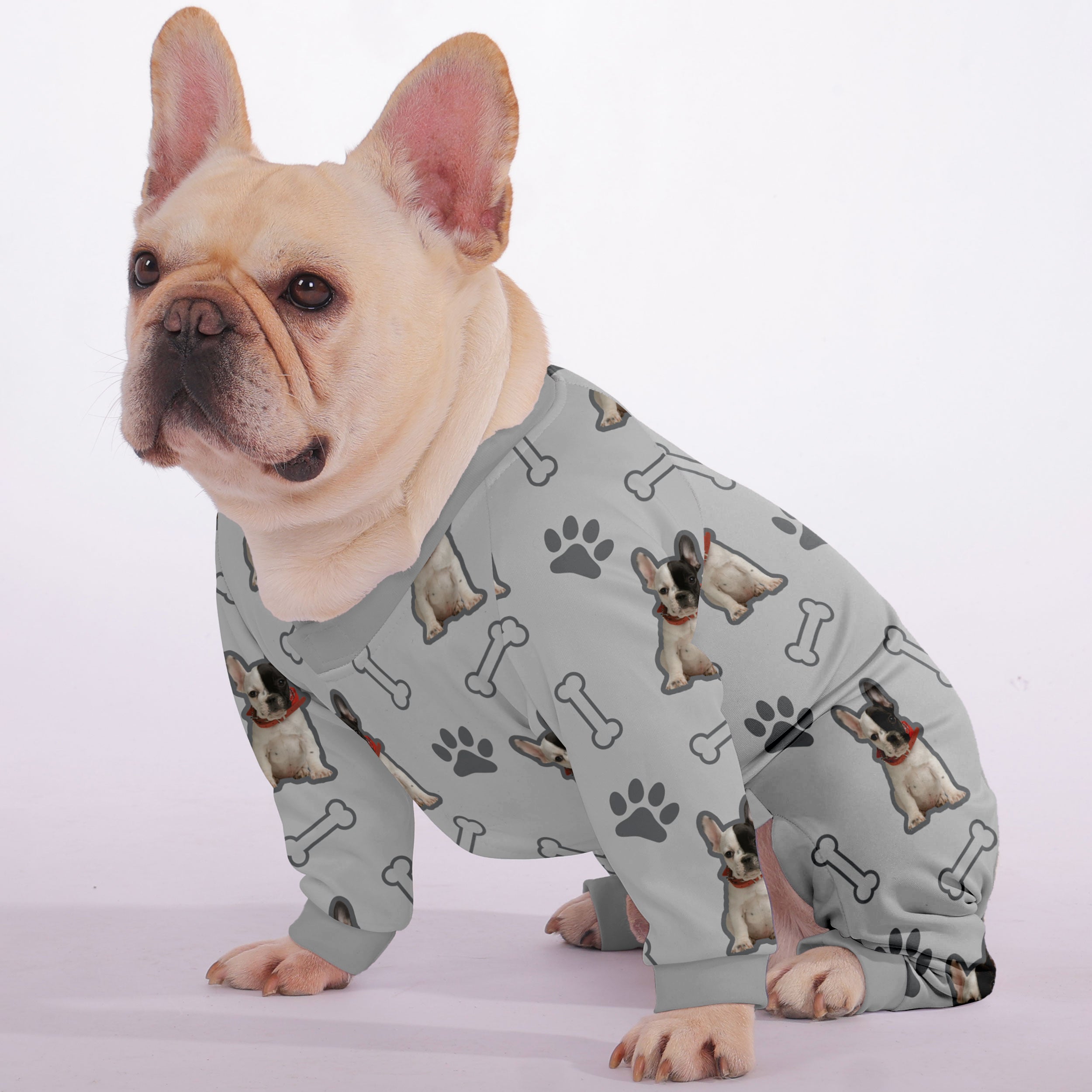 Enzo French Bulldog Dog Accessory for Training Sessions-fadou