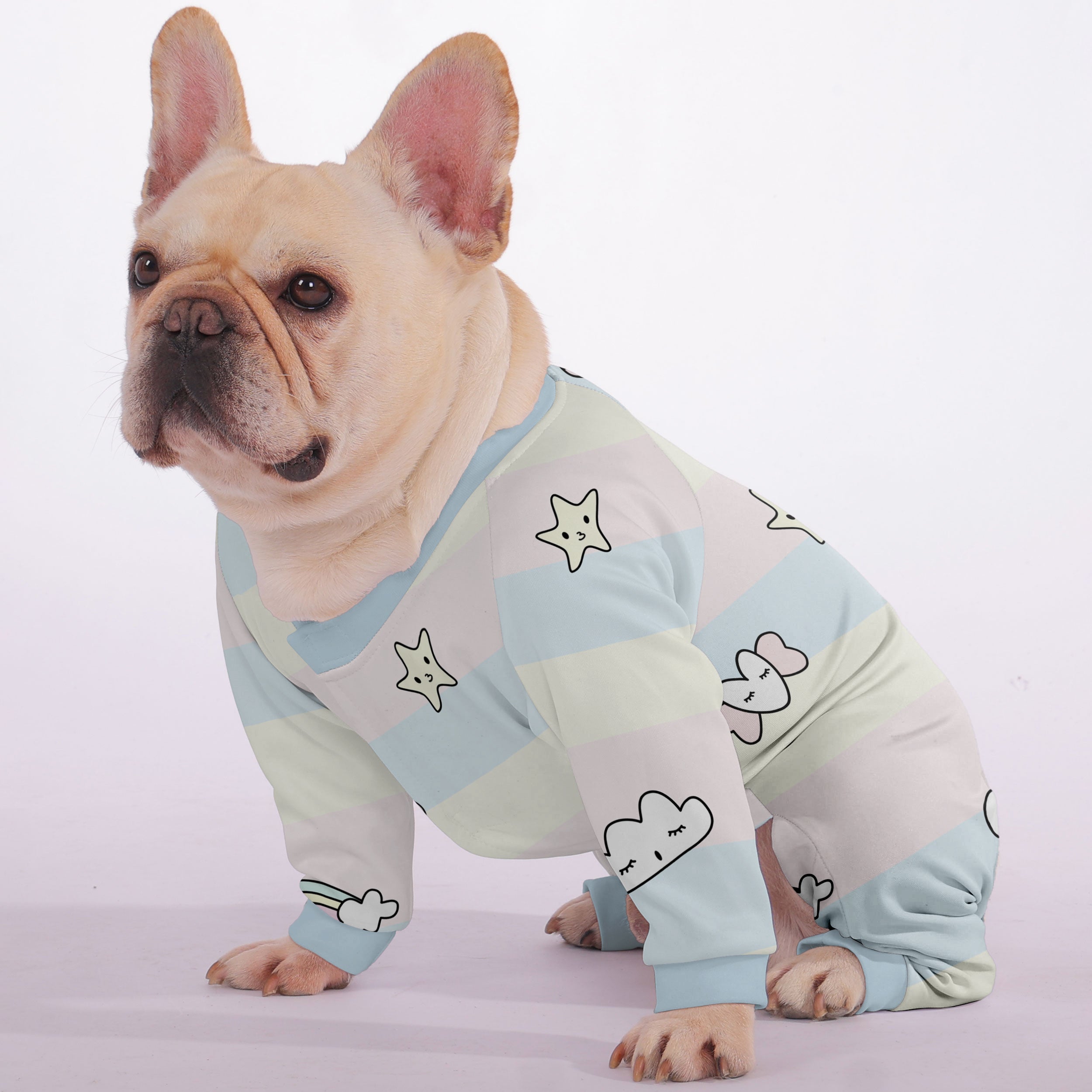 Okley French Bulldog Dog Accessory for Outdoor Adventures-fadou