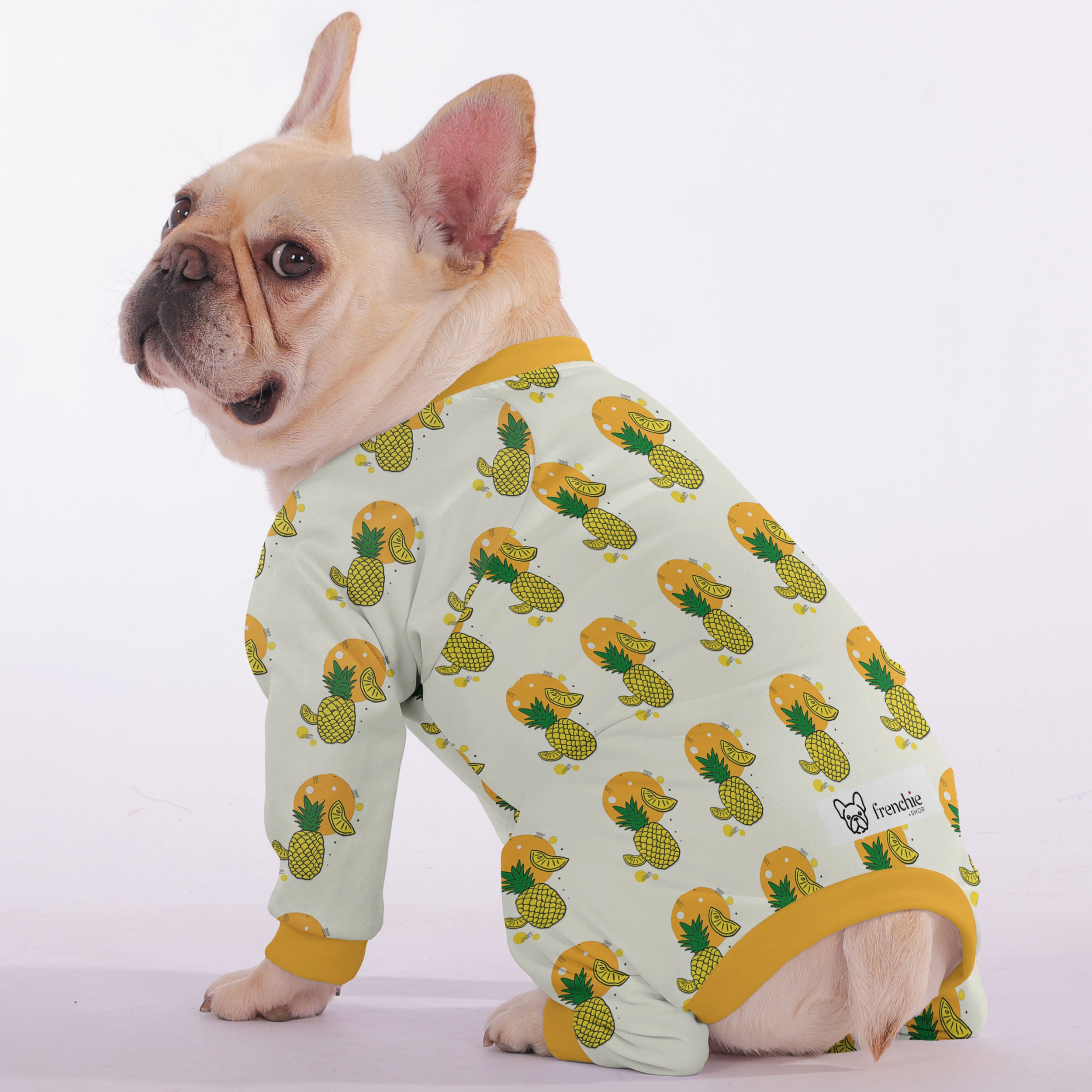 Daisy French Bulldog Pet Product for Brachycephalic Dogs-fadou