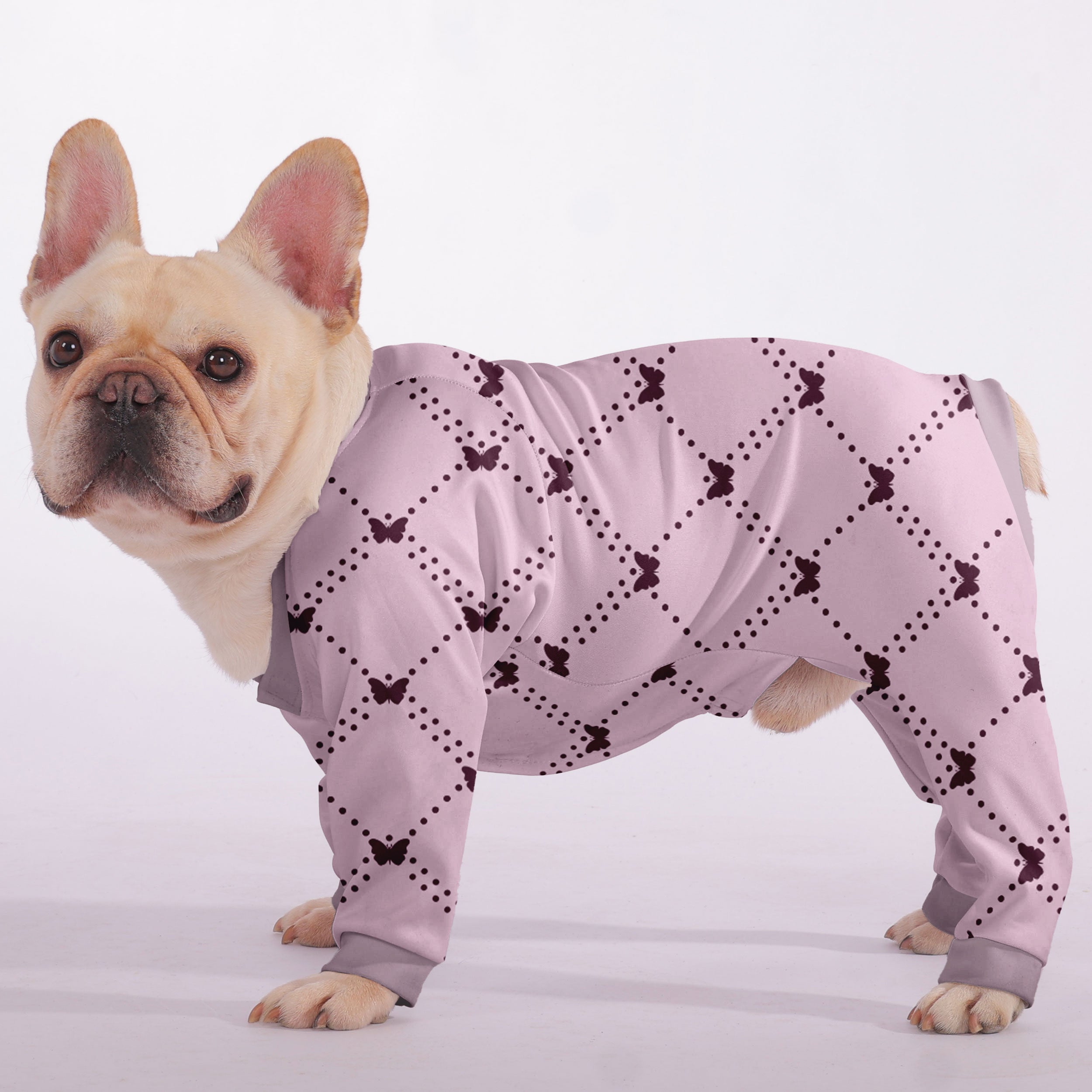 Quinn French Bulldog Dog Accessory for Flat-Face Breeds-fadou