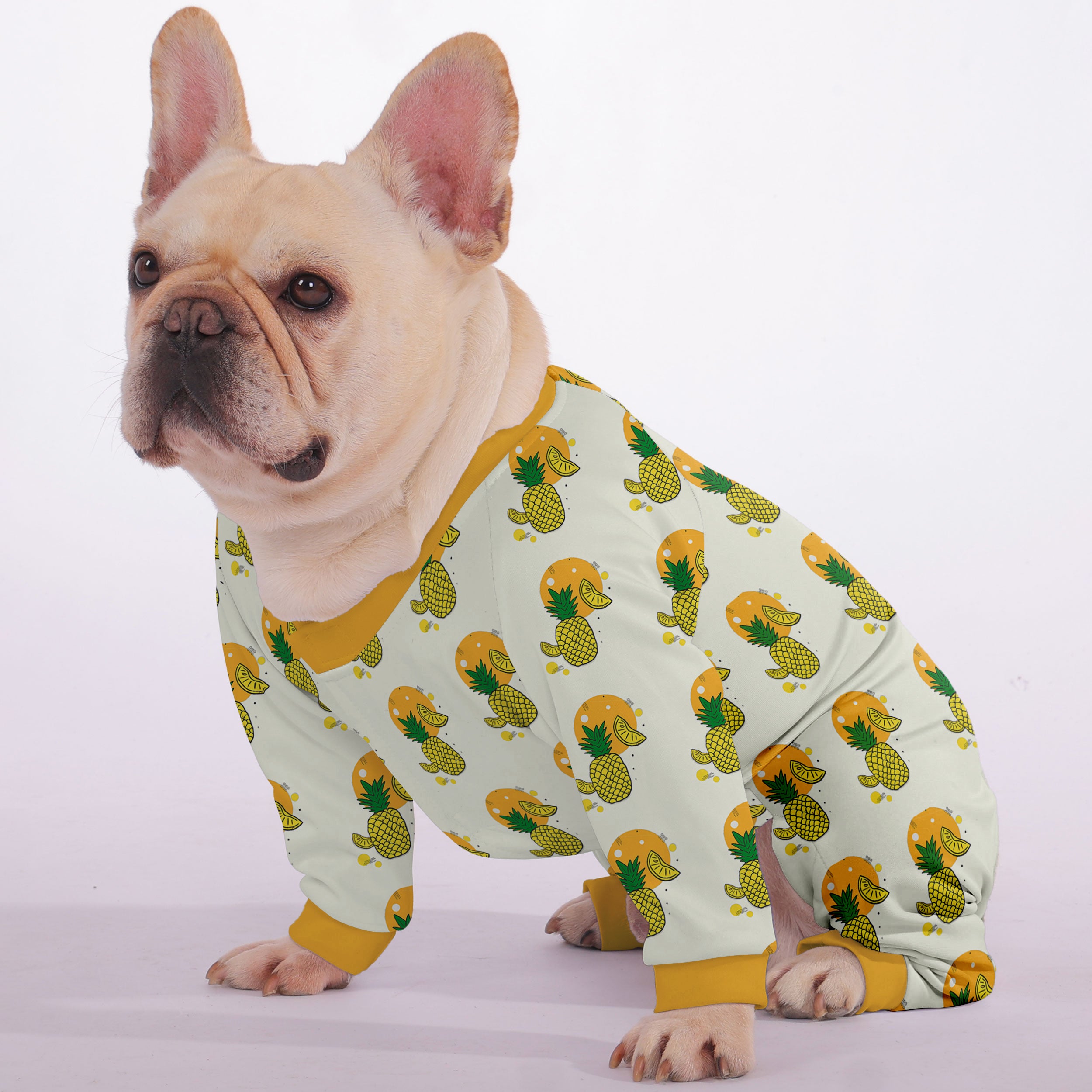 Daisy French Bulldog Pet Product for Brachycephalic Dogs-fadou