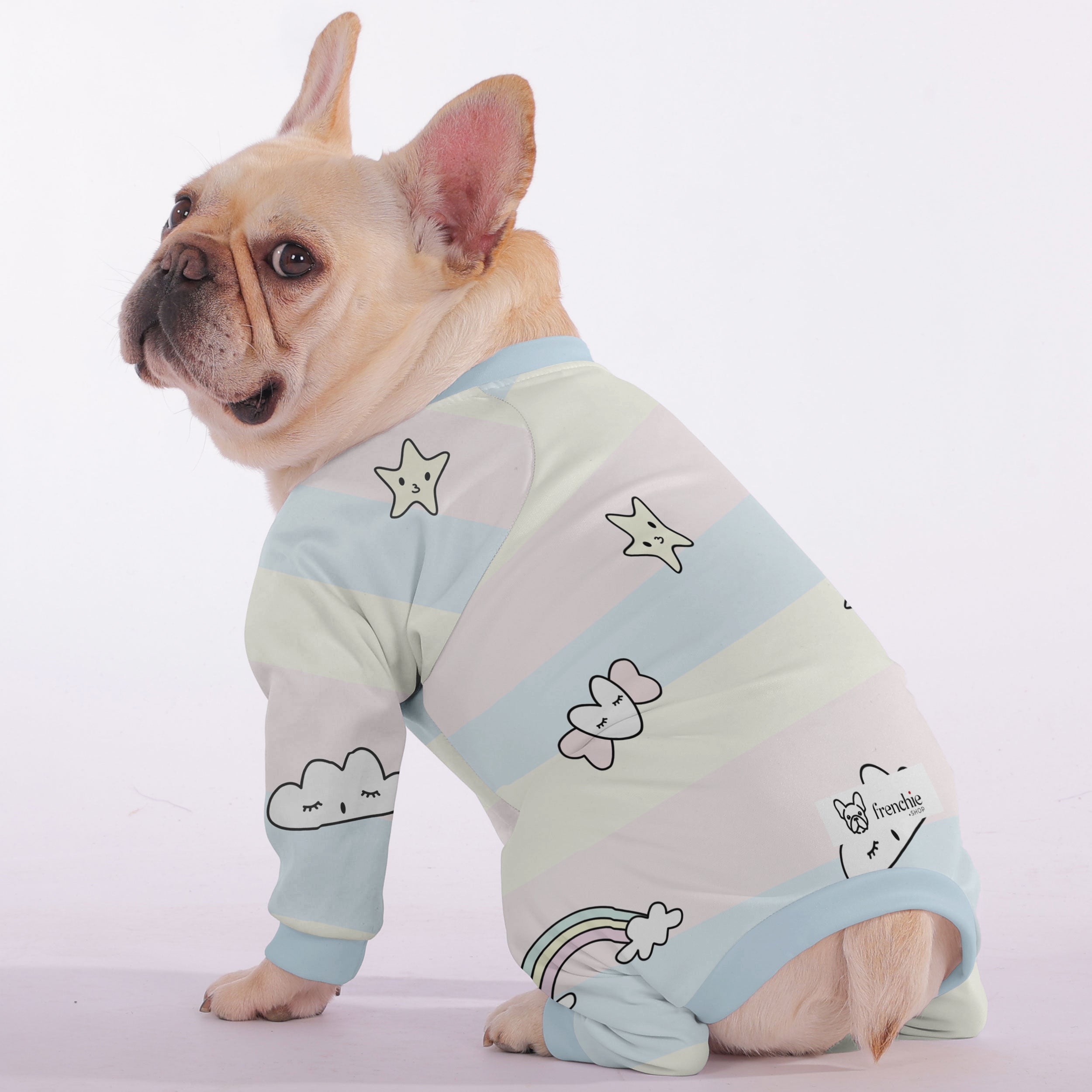 Okley French Bulldog Dog Accessory for Outdoor Adventures-fadou