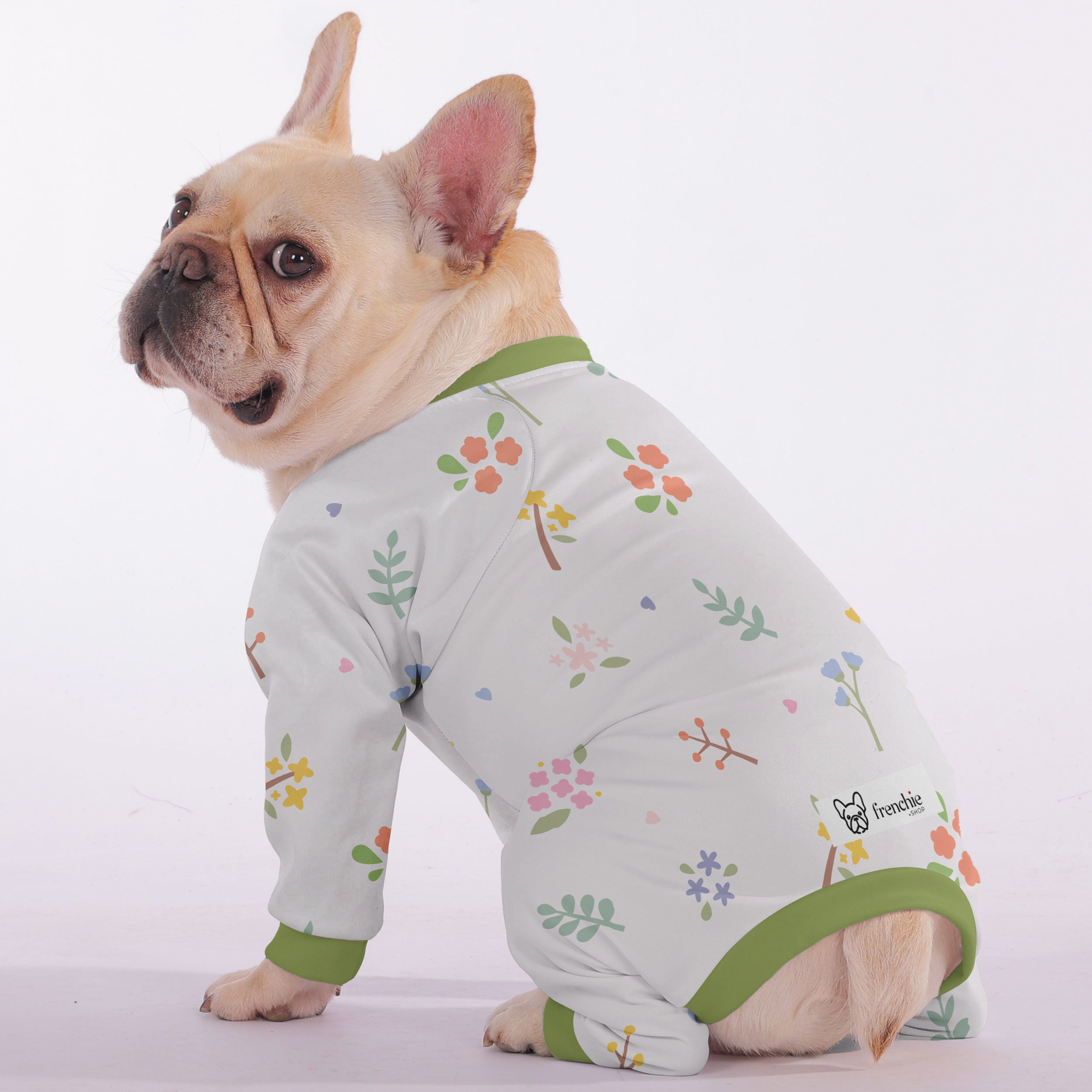 Aspen French Bulldog Dog Accessory for Short-Nosed Dogs-fadou