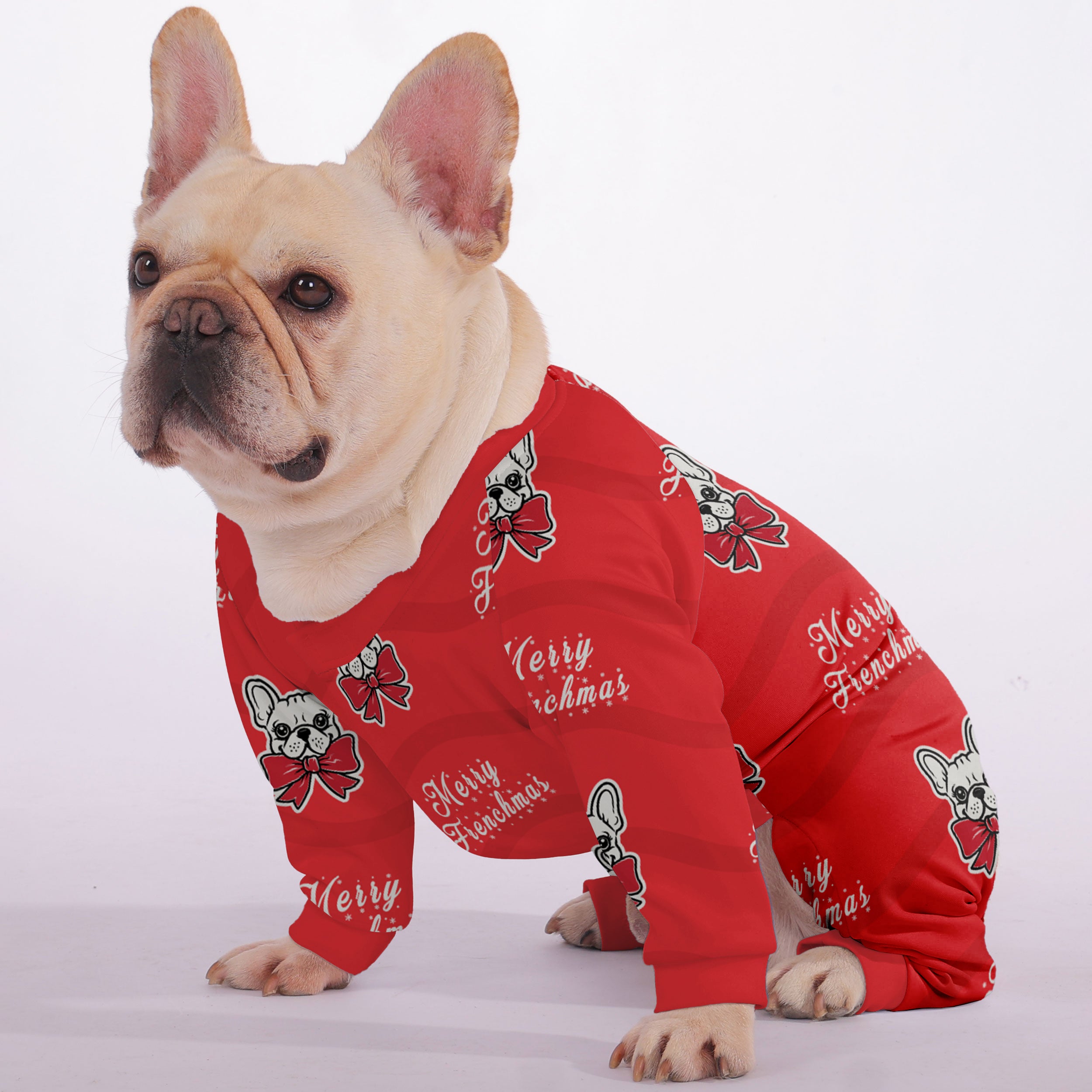 Dash French Bulldog Pet Product for Brachycephalic Dogs-fadou