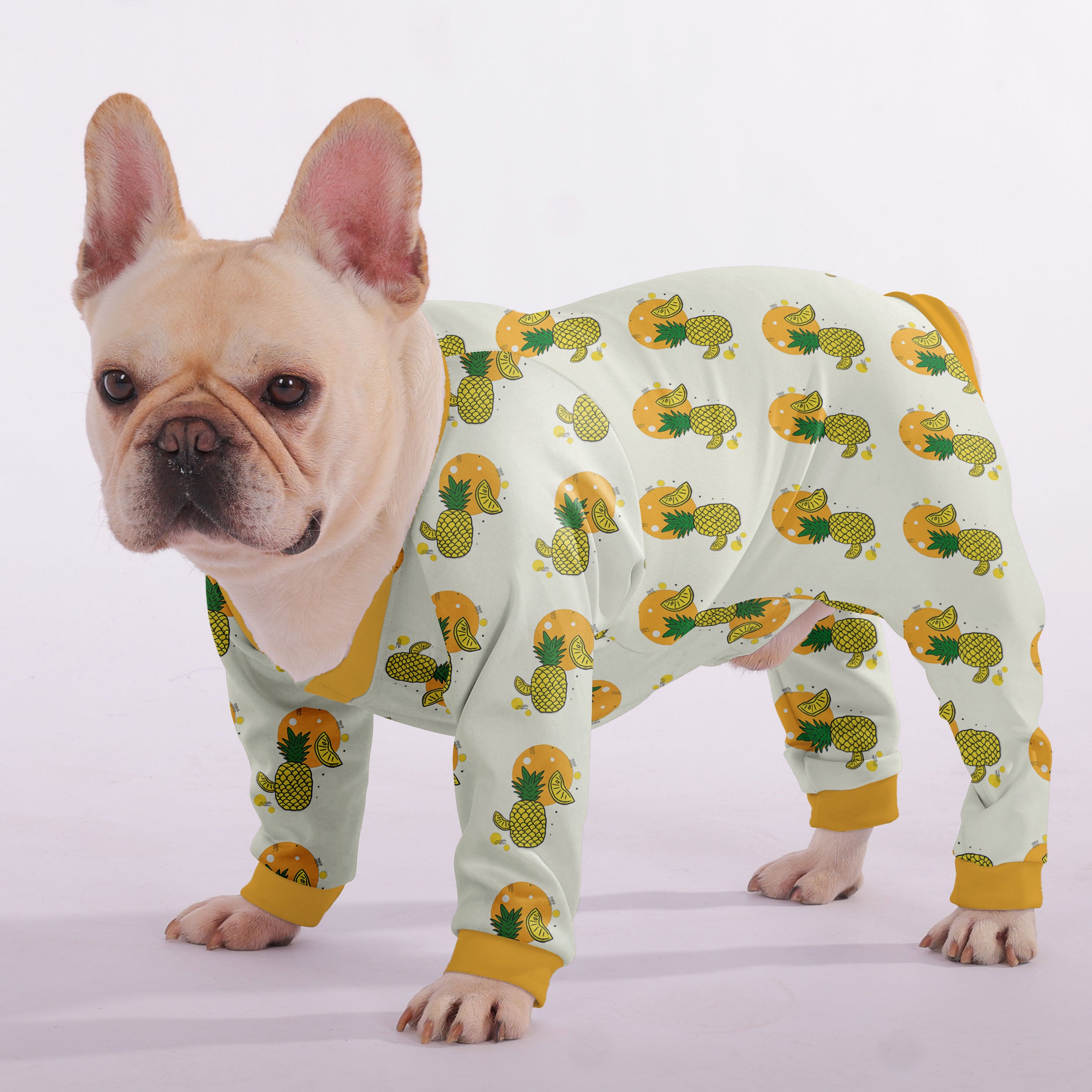 Daisy French Bulldog Pet Product for Brachycephalic Dogs-fadou