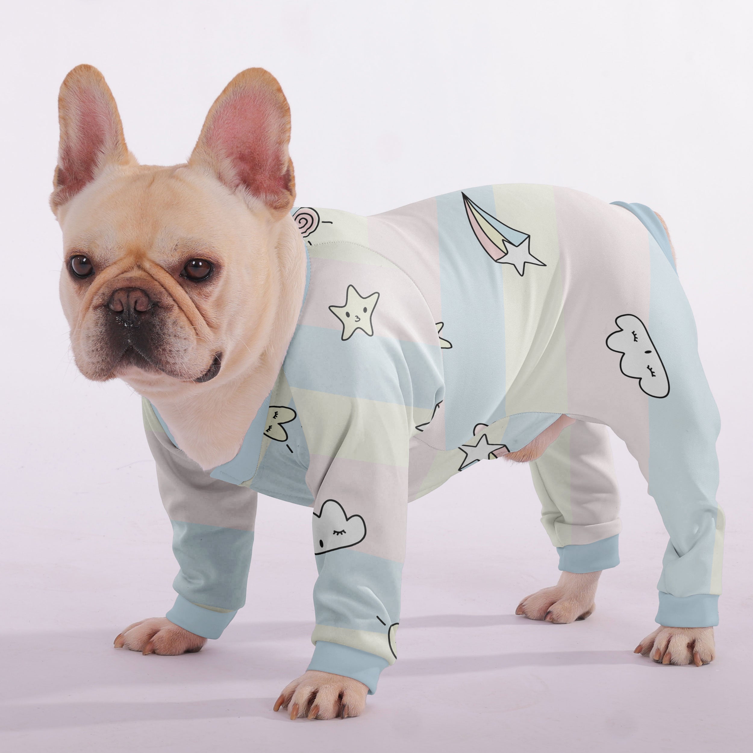 Okley French Bulldog Dog Accessory for Outdoor Adventures-fadou