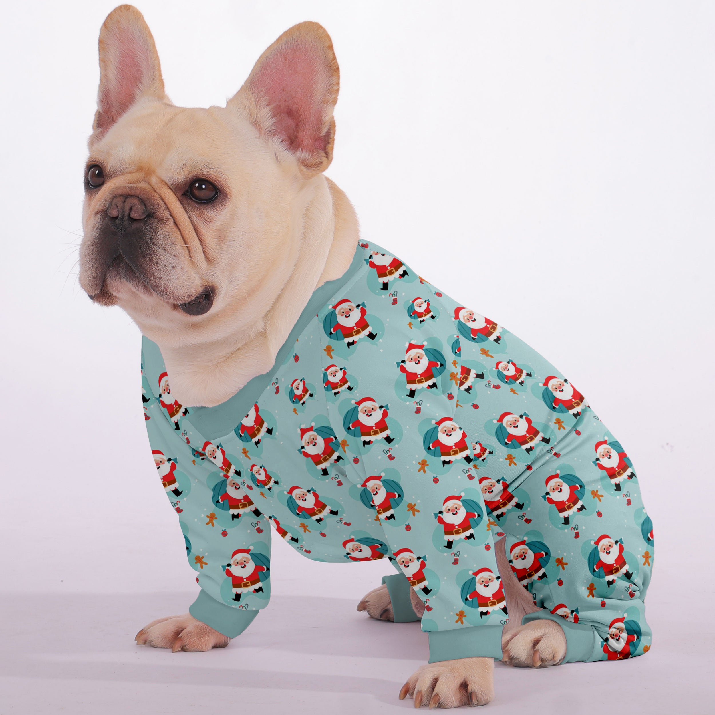 Milo French Bulldog Dog Accessory for Outdoor Adventures-fadou