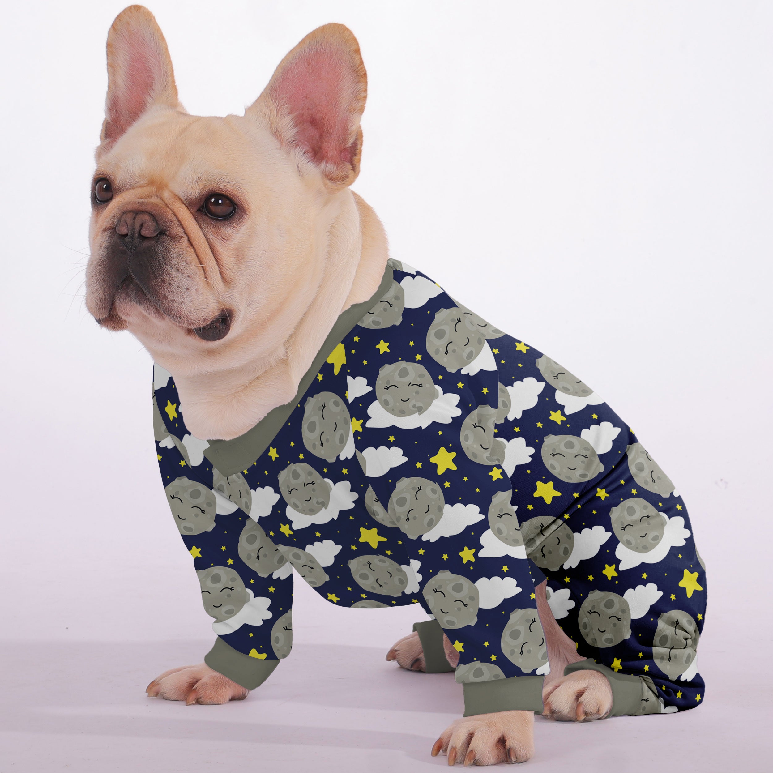 Finn French Bulldog Dog Accessory for Outdoor Adventures-fadou