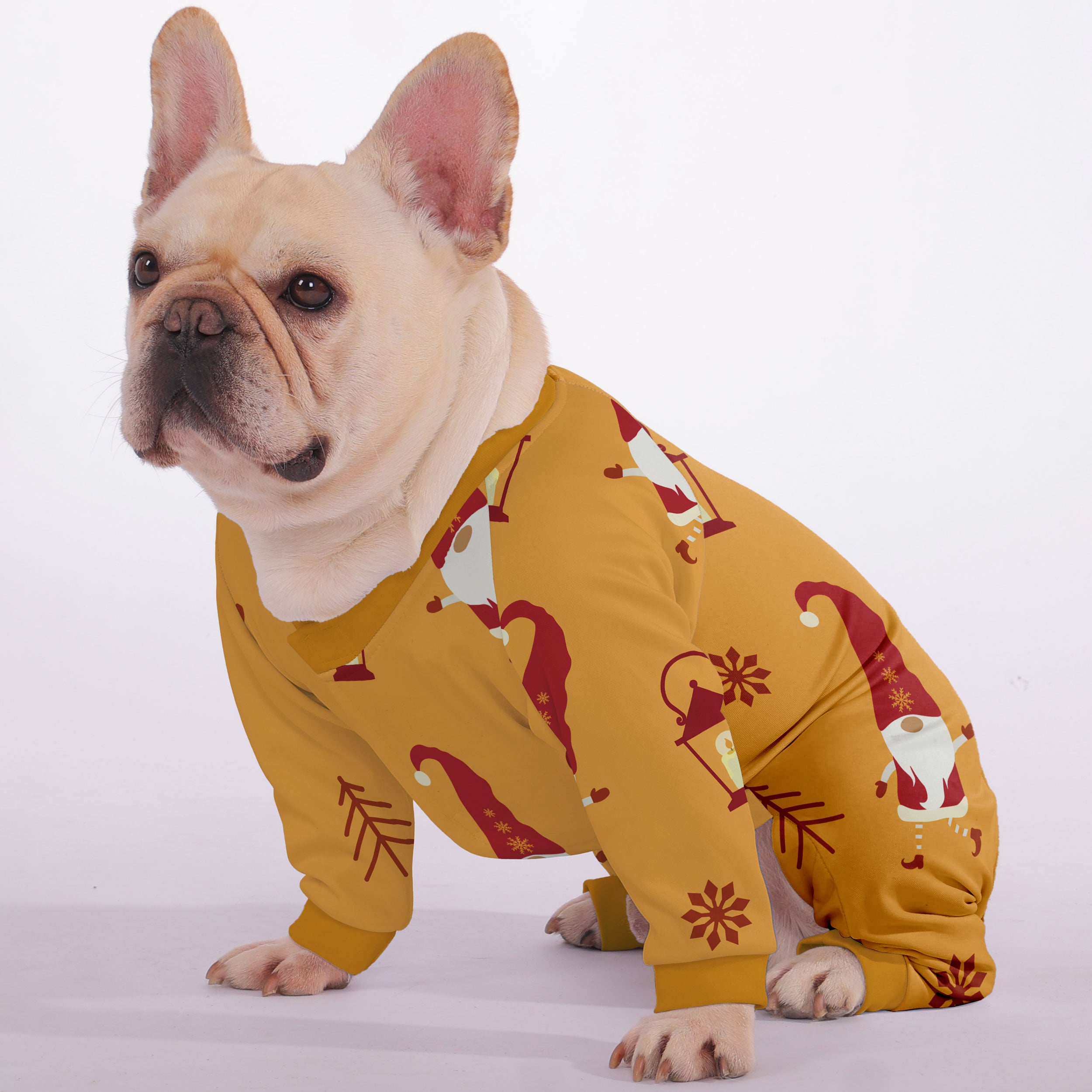 Pebble French Bulldog Dog Accessory for Training Sessions-fadou
