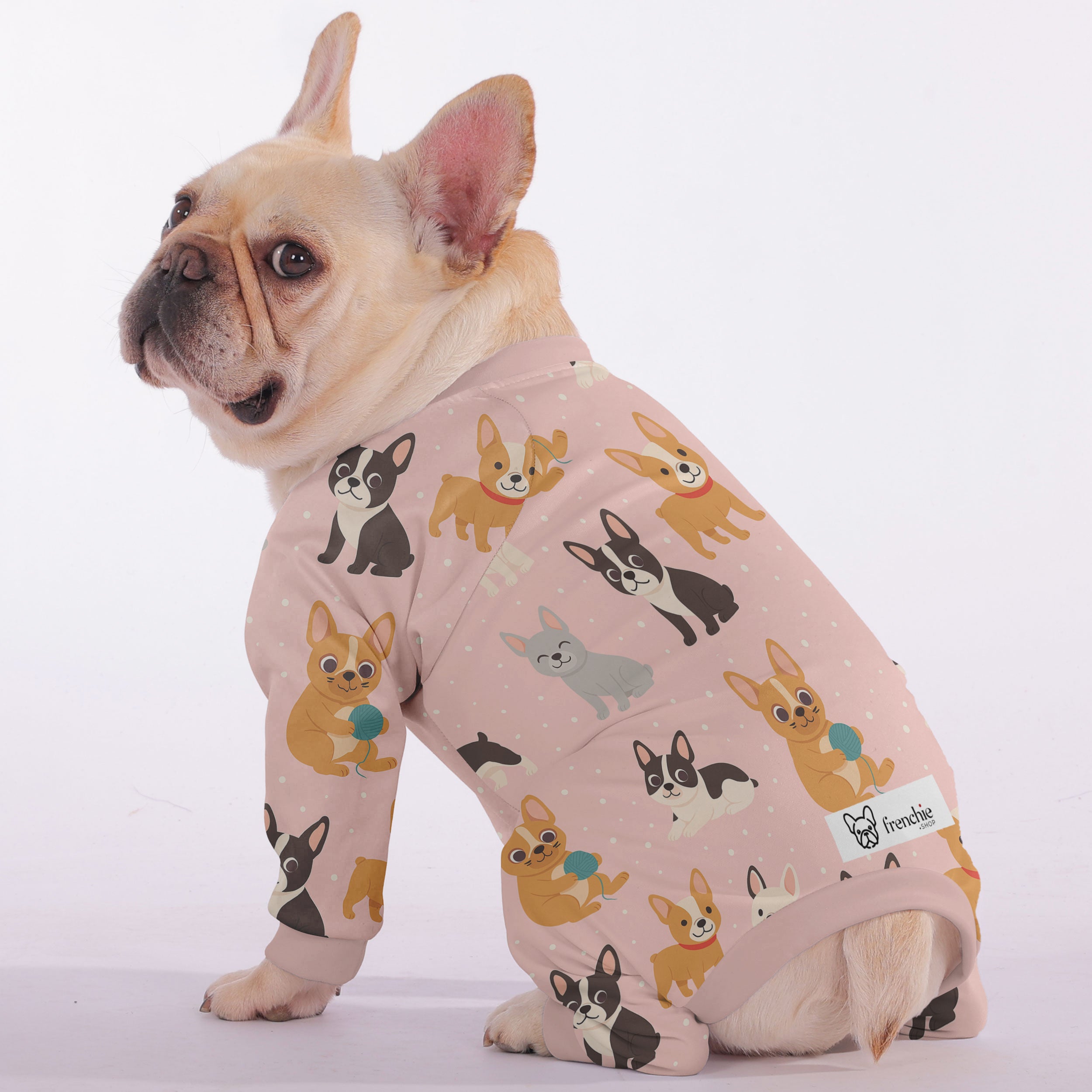 Bowie French Bulldog Pet Product for Outdoor Adventures-fadou