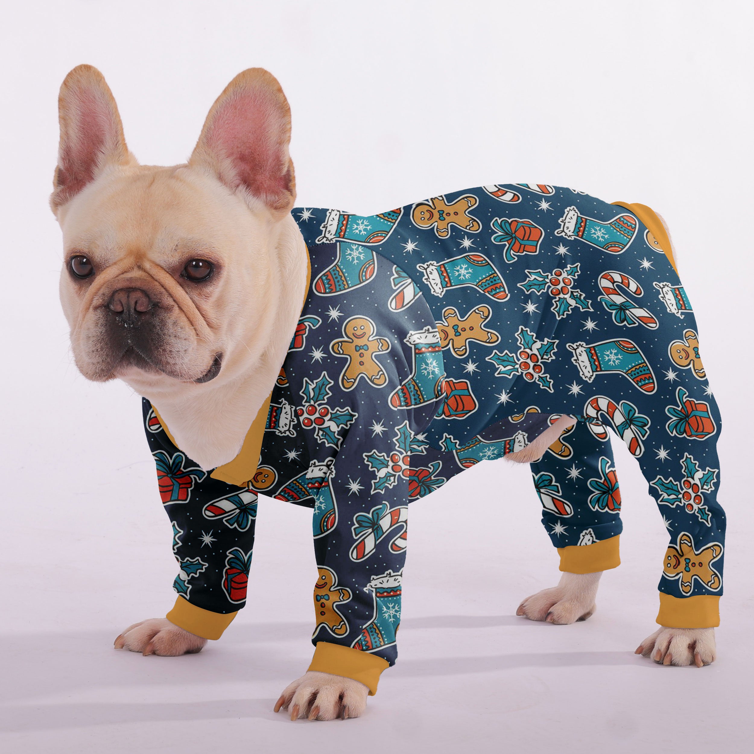French Bulldog Christmas Dog Accessory for Training Sessions-fadou