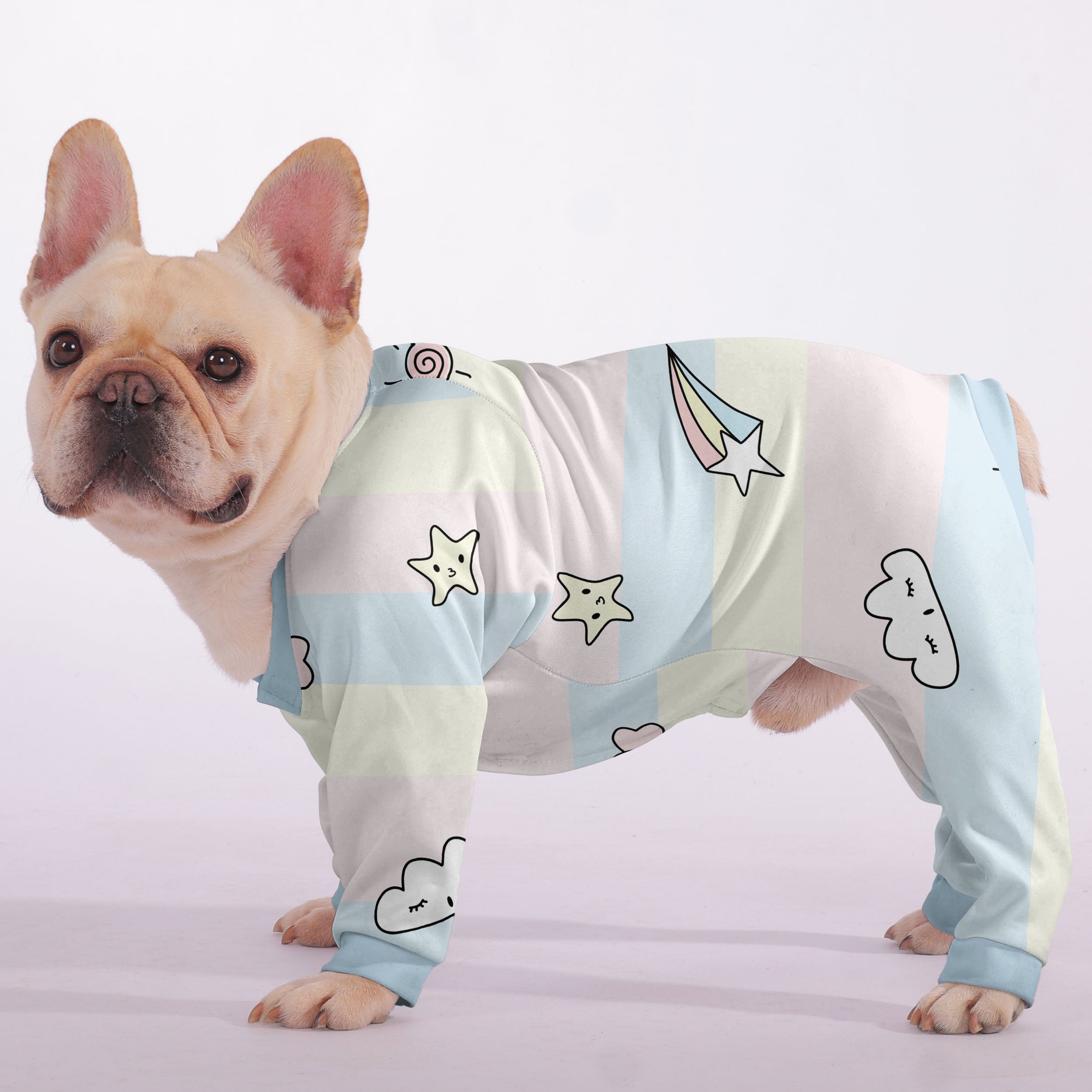 Okley French Bulldog Dog Accessory for Outdoor Adventures-fadou