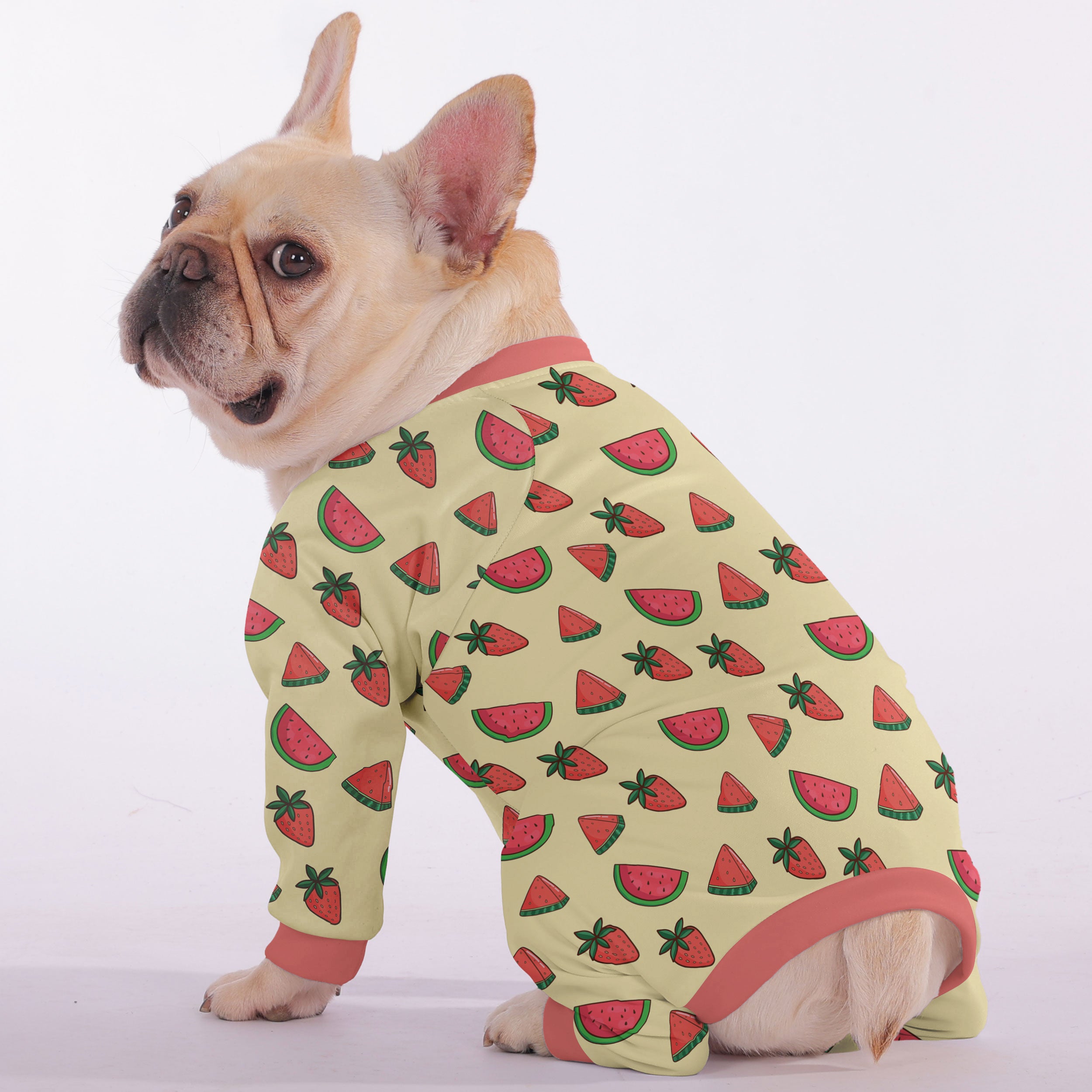 Oliver French Bulldog Dog Accessory for French Bulldogs-fadou