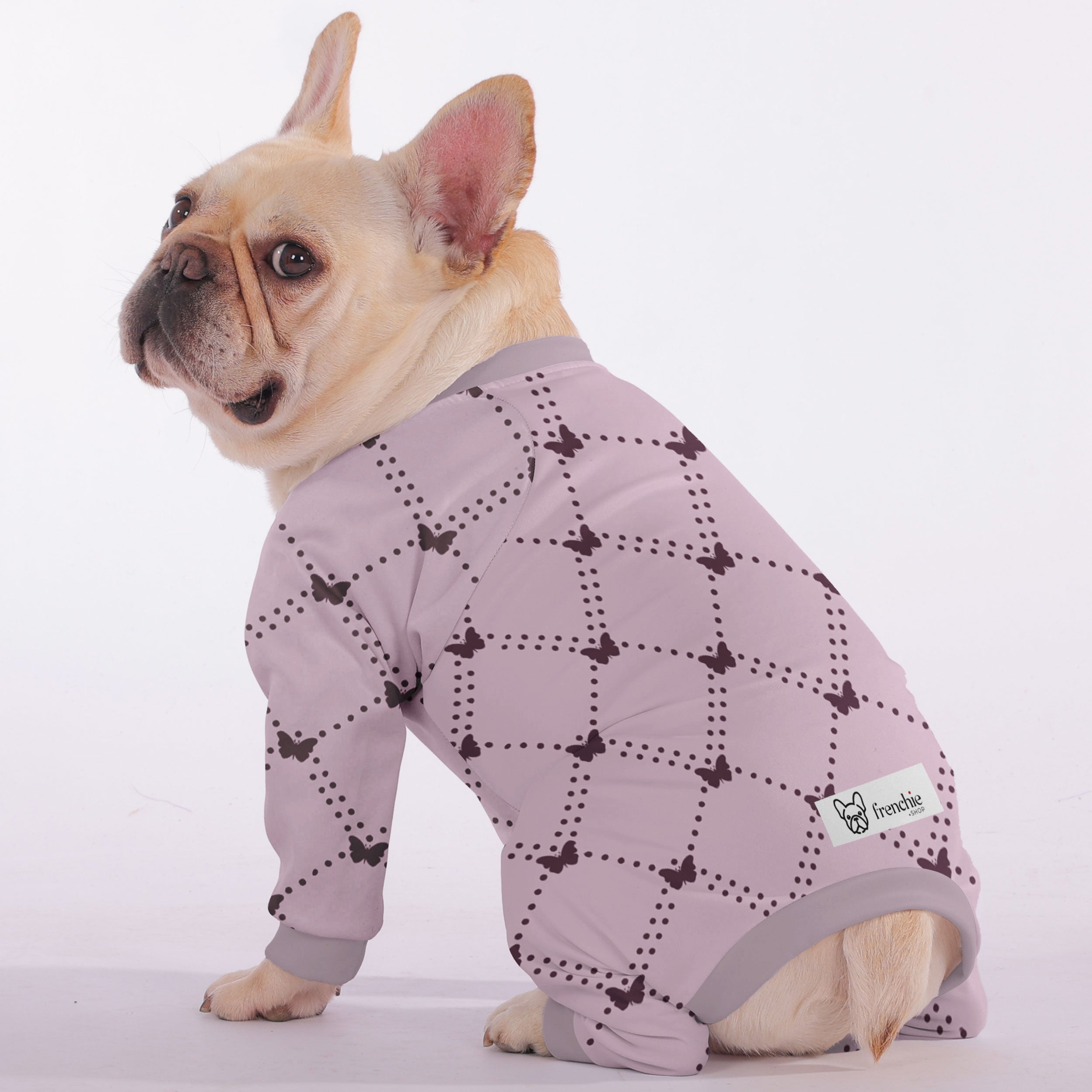 Quinn French Bulldog Dog Accessory for Flat-Face Breeds-fadou