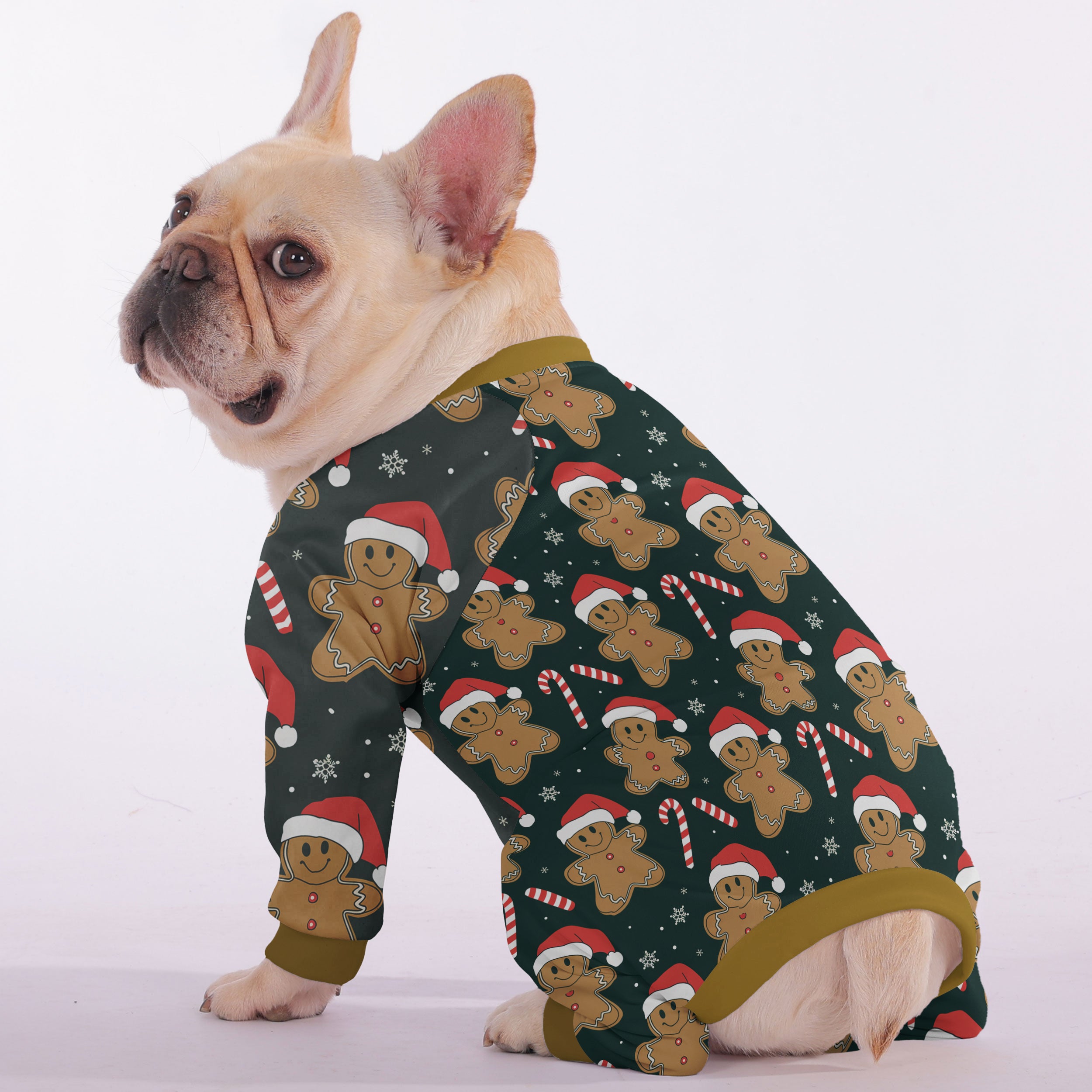 Juno French Bulldog Pet Product for Brachycephalic Dogs-fadou
