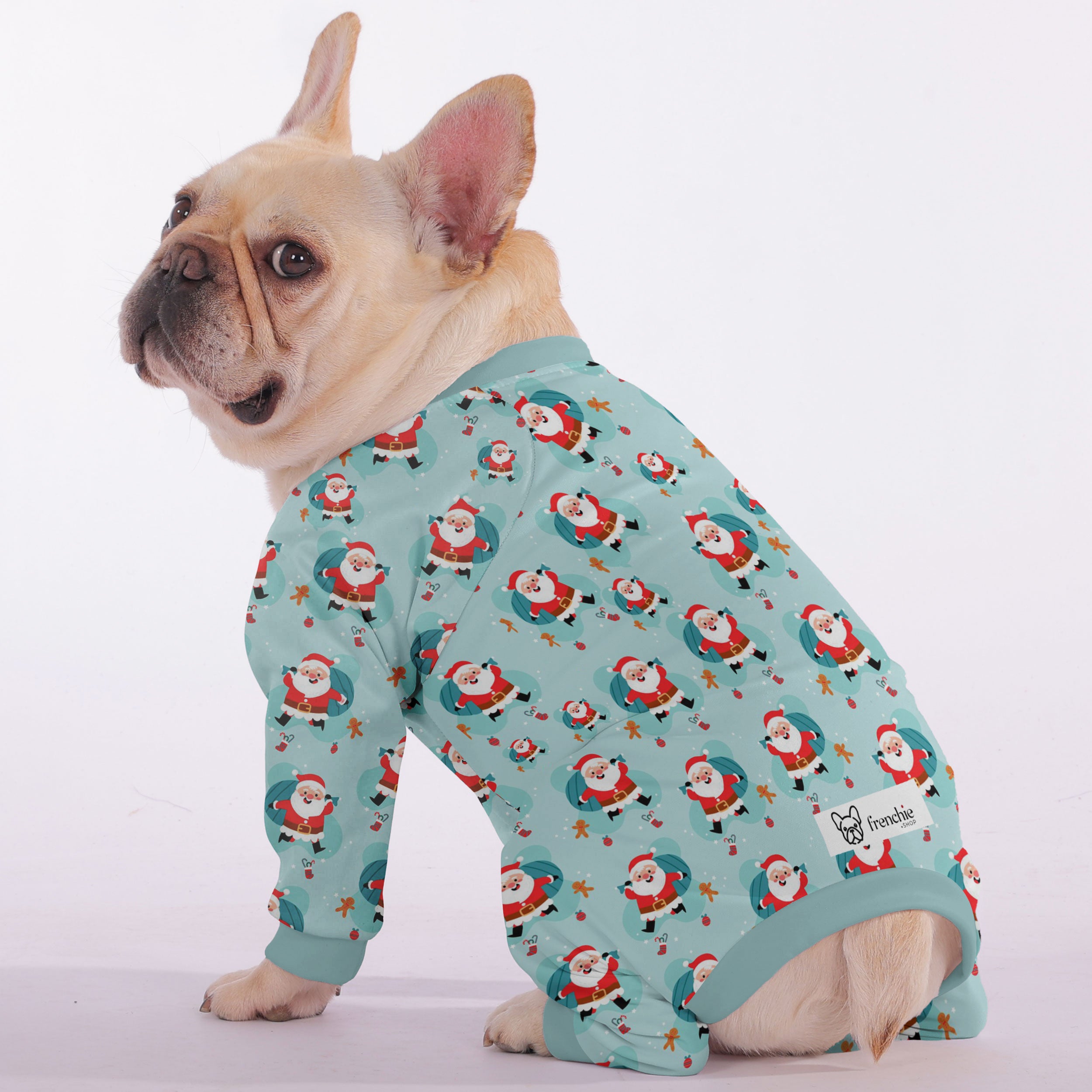 Milo French Bulldog Dog Accessory for Outdoor Adventures-fadou