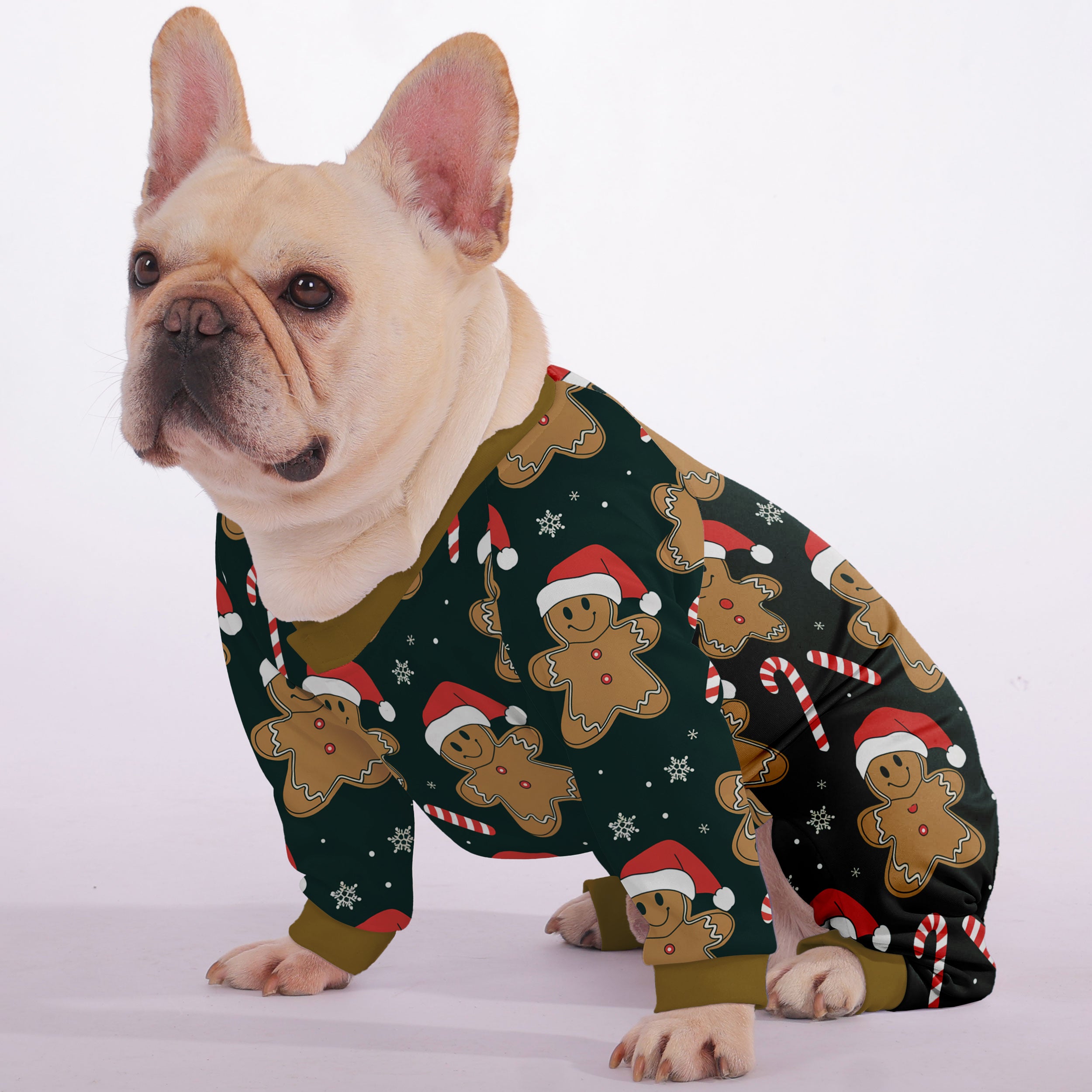 Juno French Bulldog Pet Product for Brachycephalic Dogs-fadou
