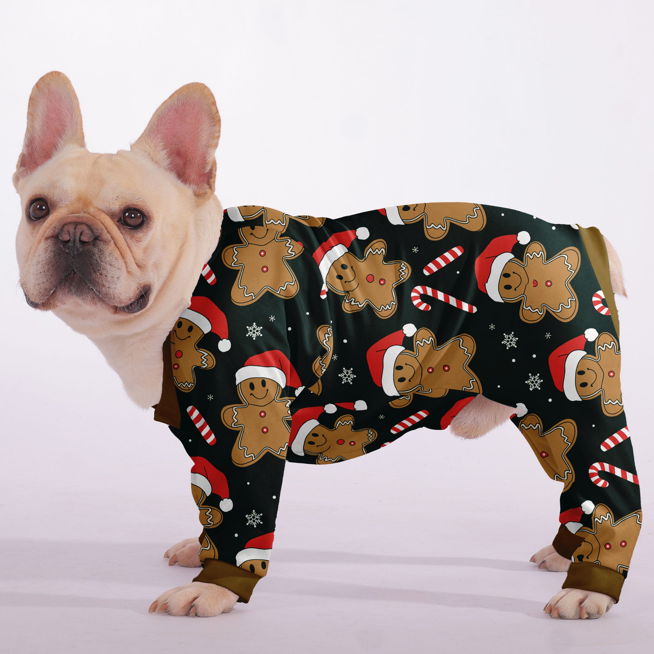 Juno French Bulldog Pet Product for Brachycephalic Dogs-fadou