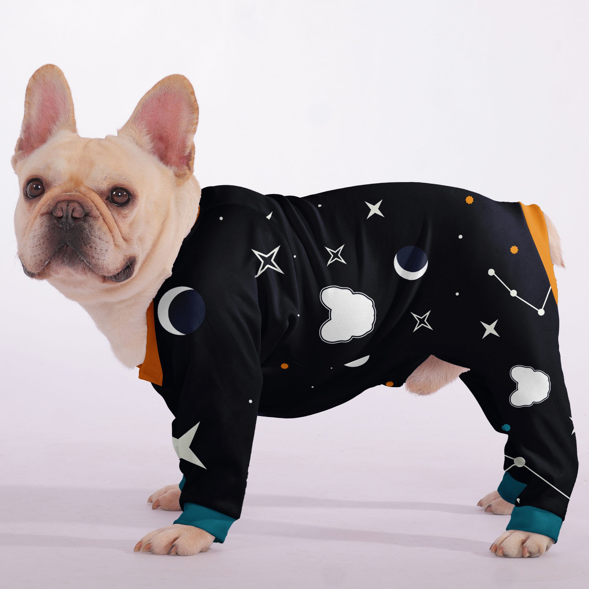 Winnie French Bulldog Dog Accessory for Brachycephalic Dogs-fadou