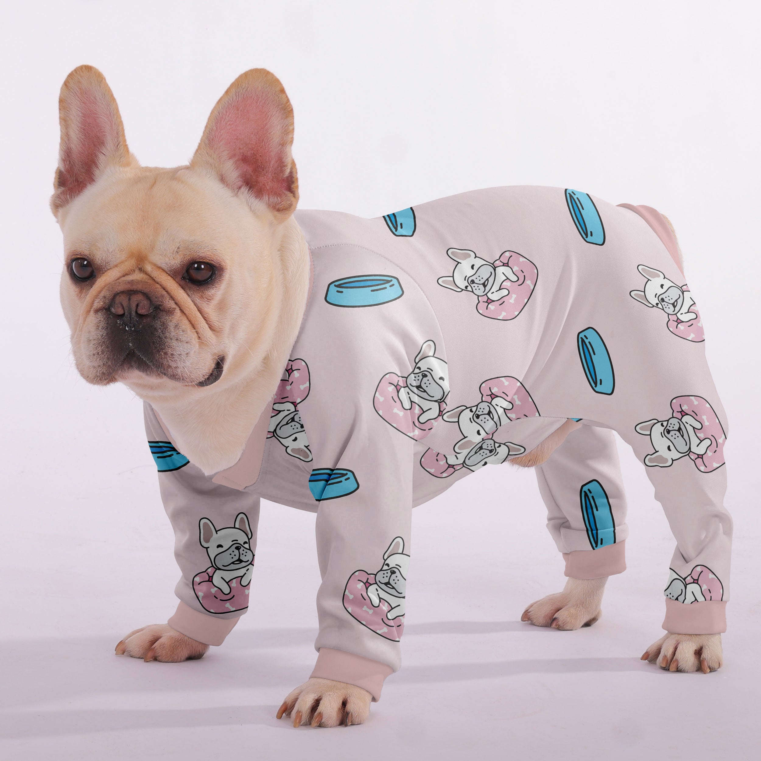 Biscuit French Bulldog Dog Item for Brachycephalic Dogs-fadou
