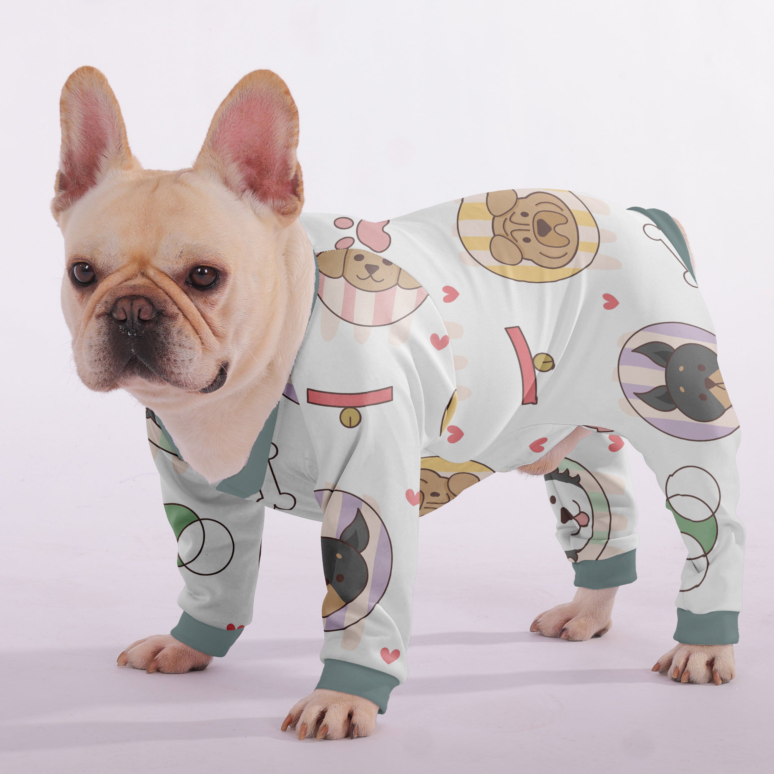 River French Bulldog Dog Accessory for Outdoor Adventures-fadou