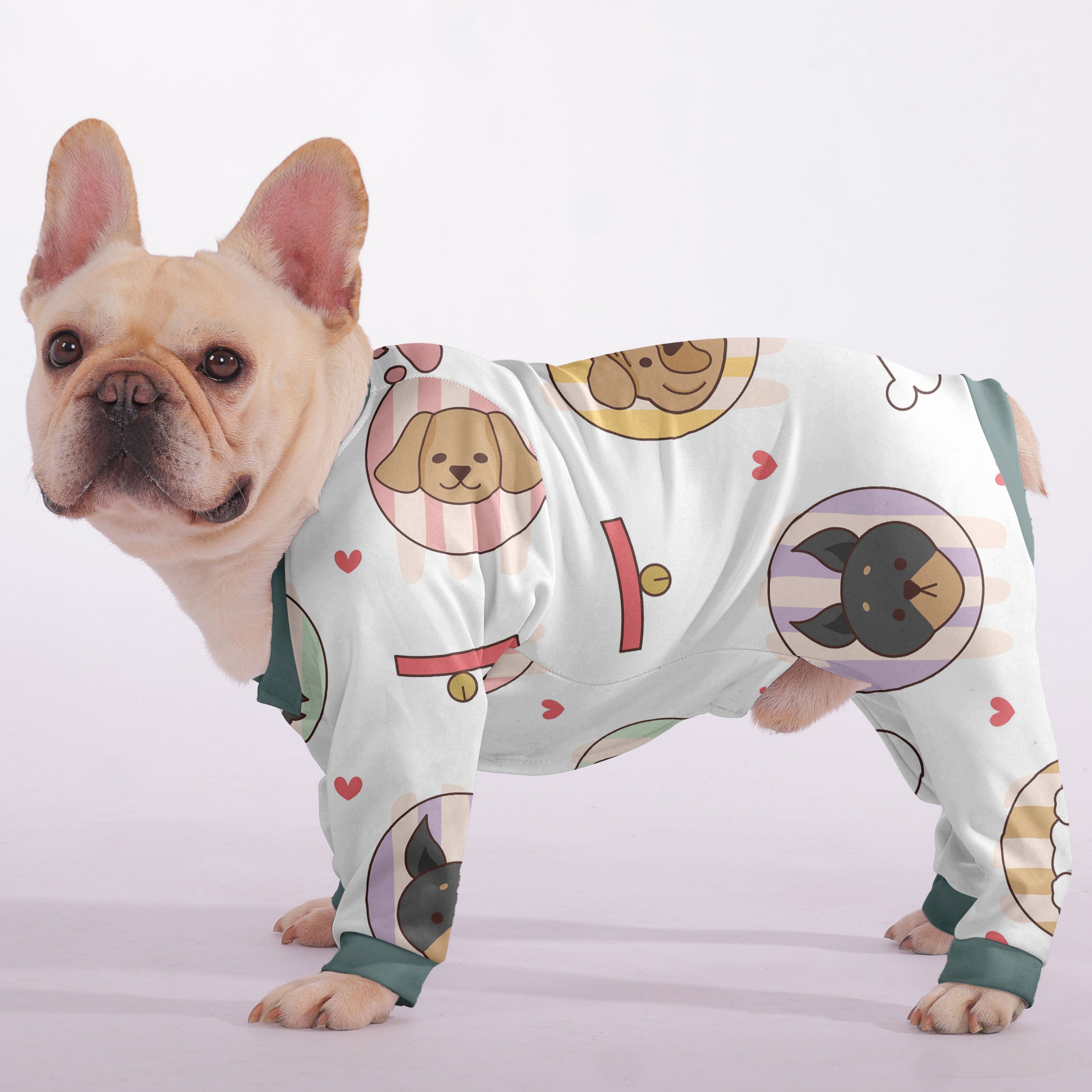River French Bulldog Dog Accessory for Outdoor Adventures-fadou