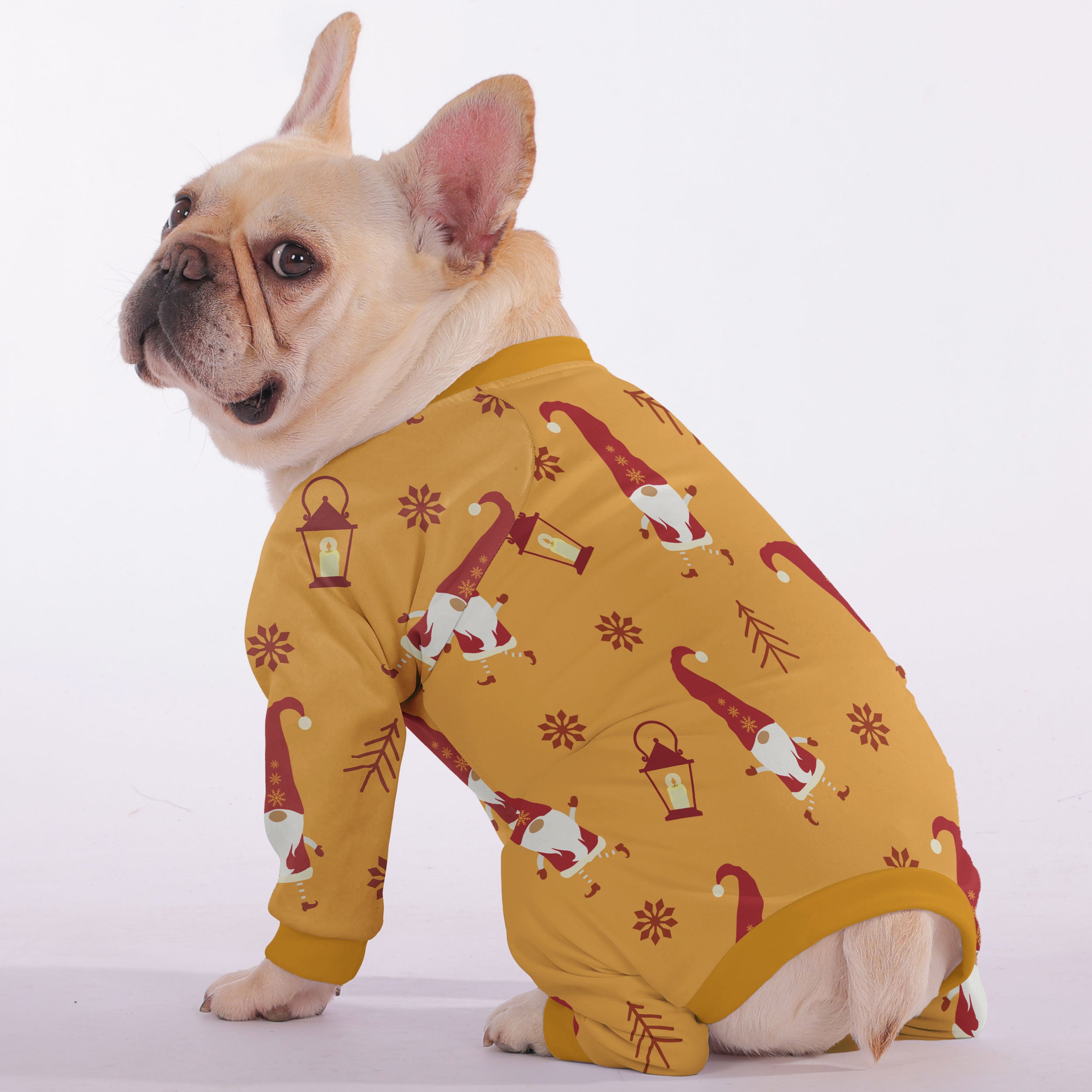 Pebble French Bulldog Dog Accessory for Training Sessions-fadou