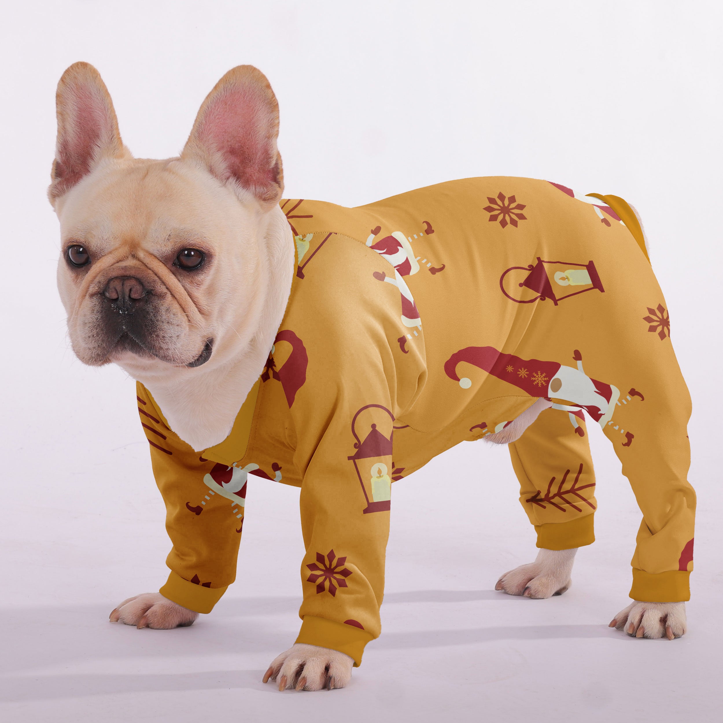 Pebble French Bulldog Dog Accessory for Training Sessions-fadou