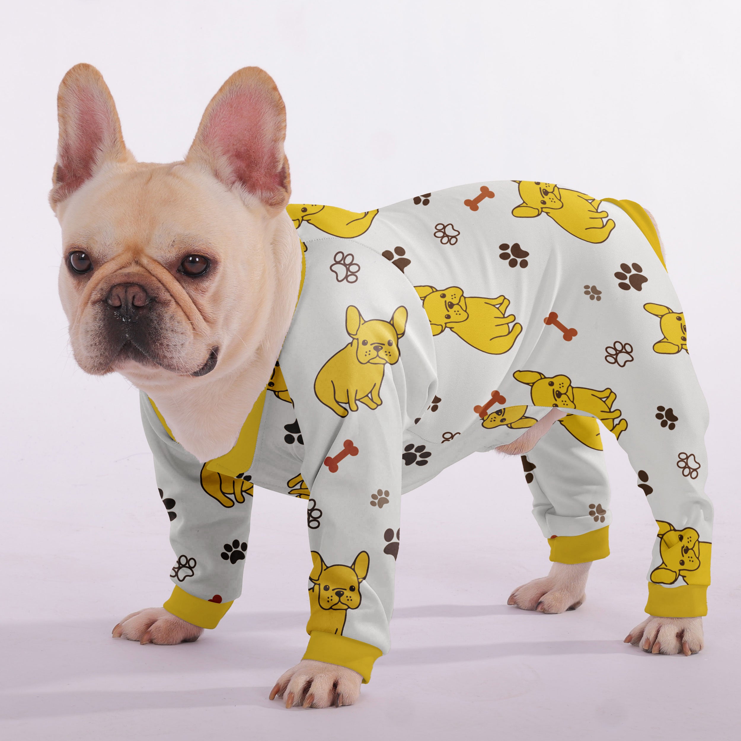 Blaze French Bulldog Pet Product for Outdoor Adventures-fadou